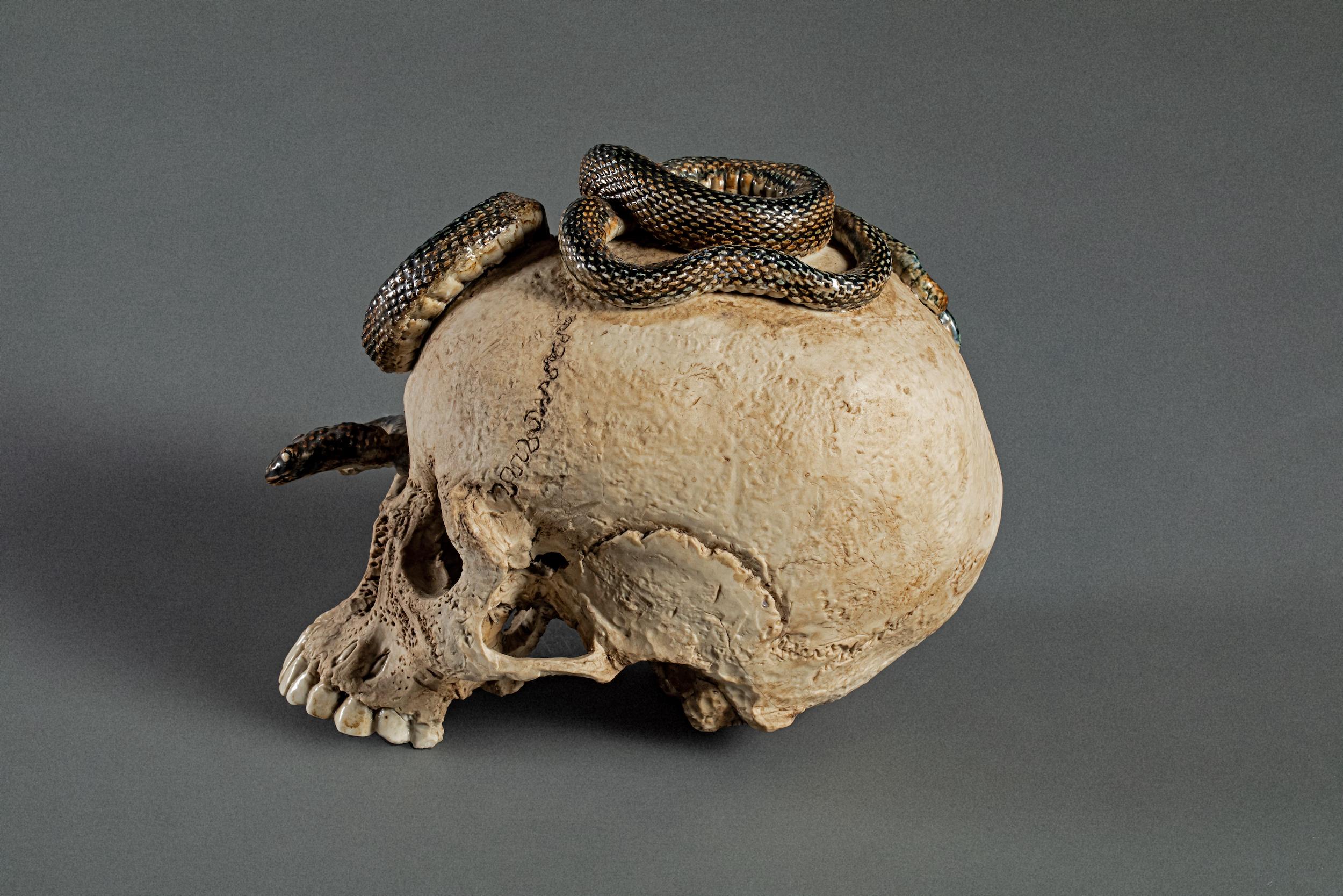 skull ceramics