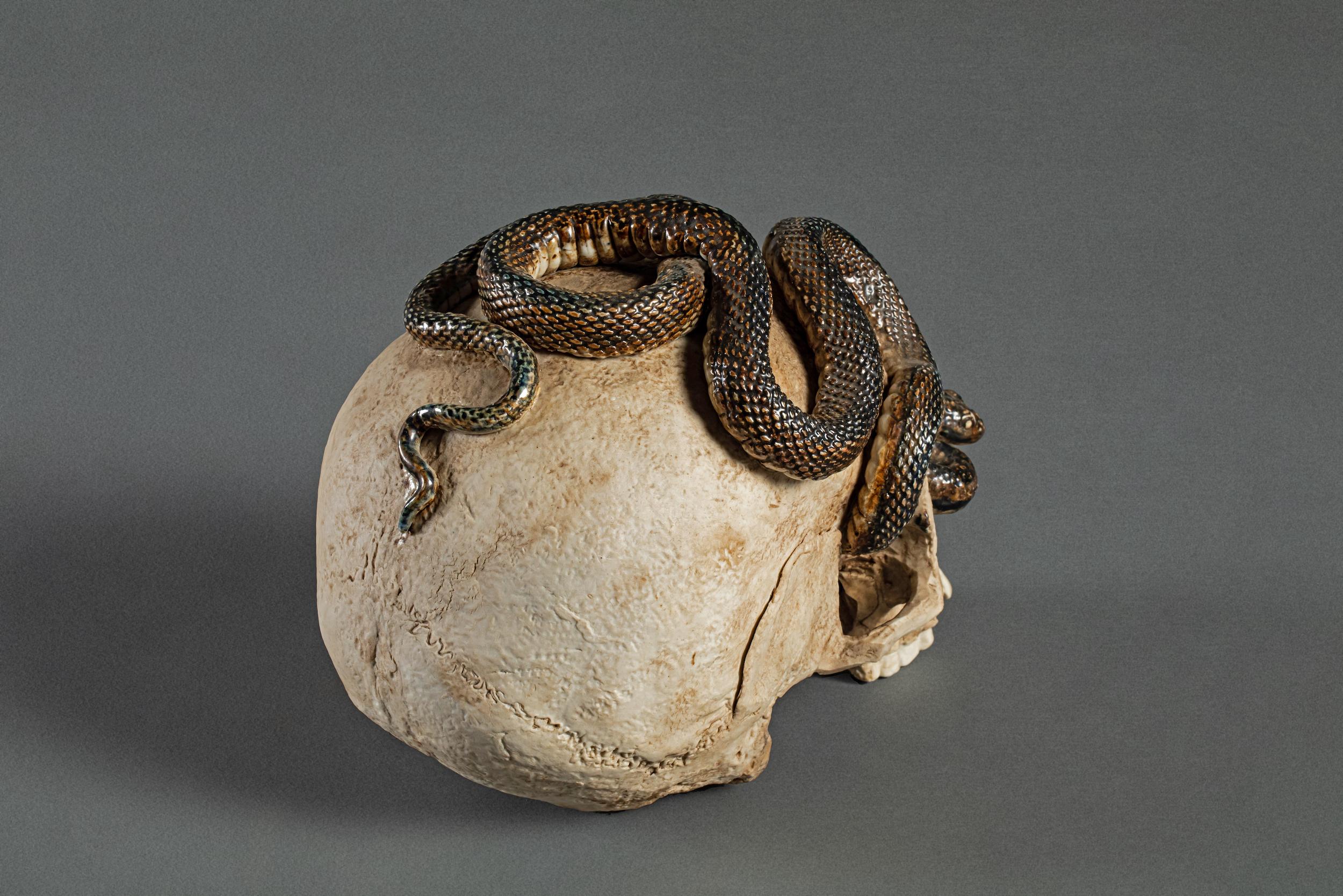 20th Century Japanese Ceramic Form of a Human Skull with a Snake For Sale