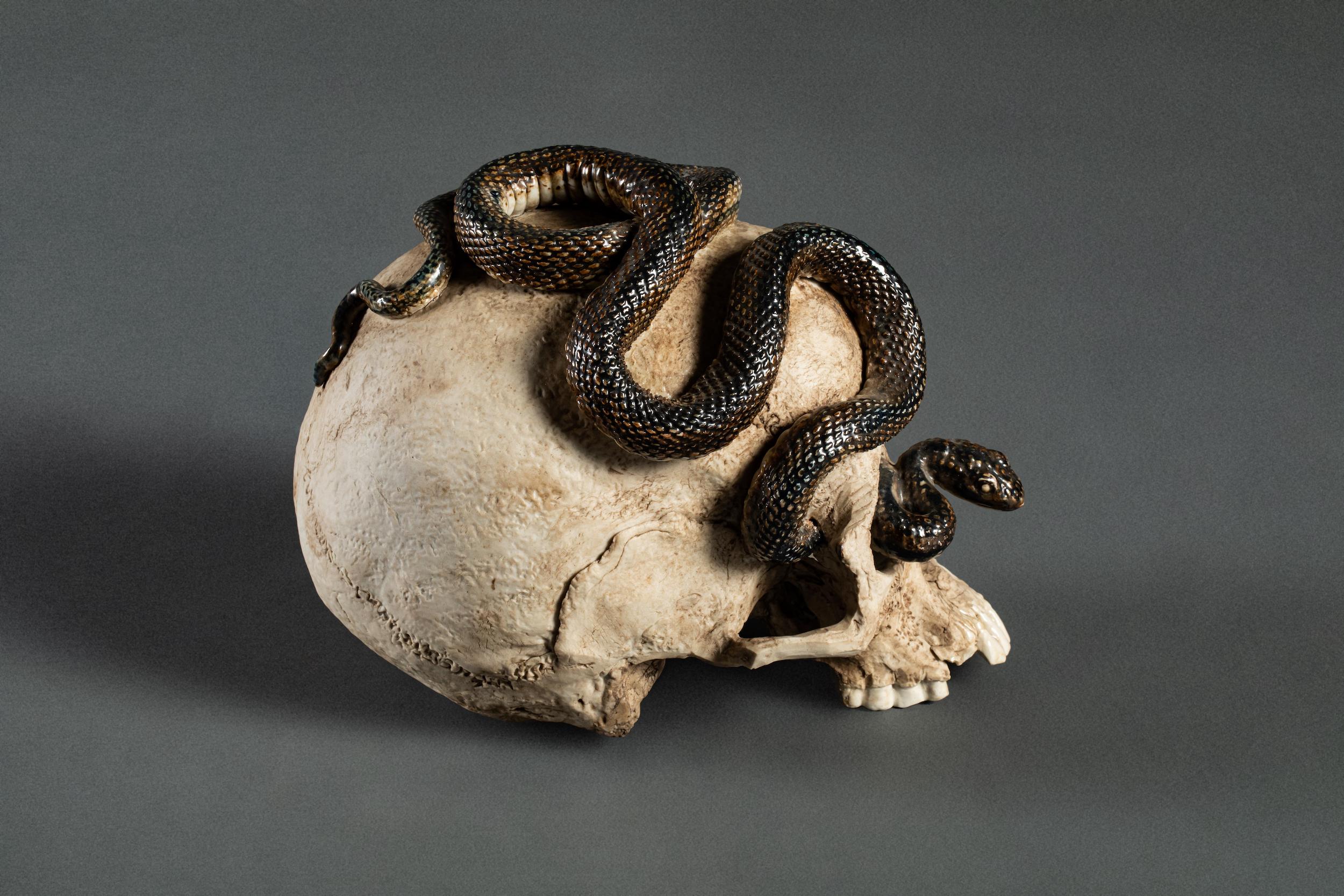 Japanese Ceramic Form of a Human Skull with a Snake For Sale 1