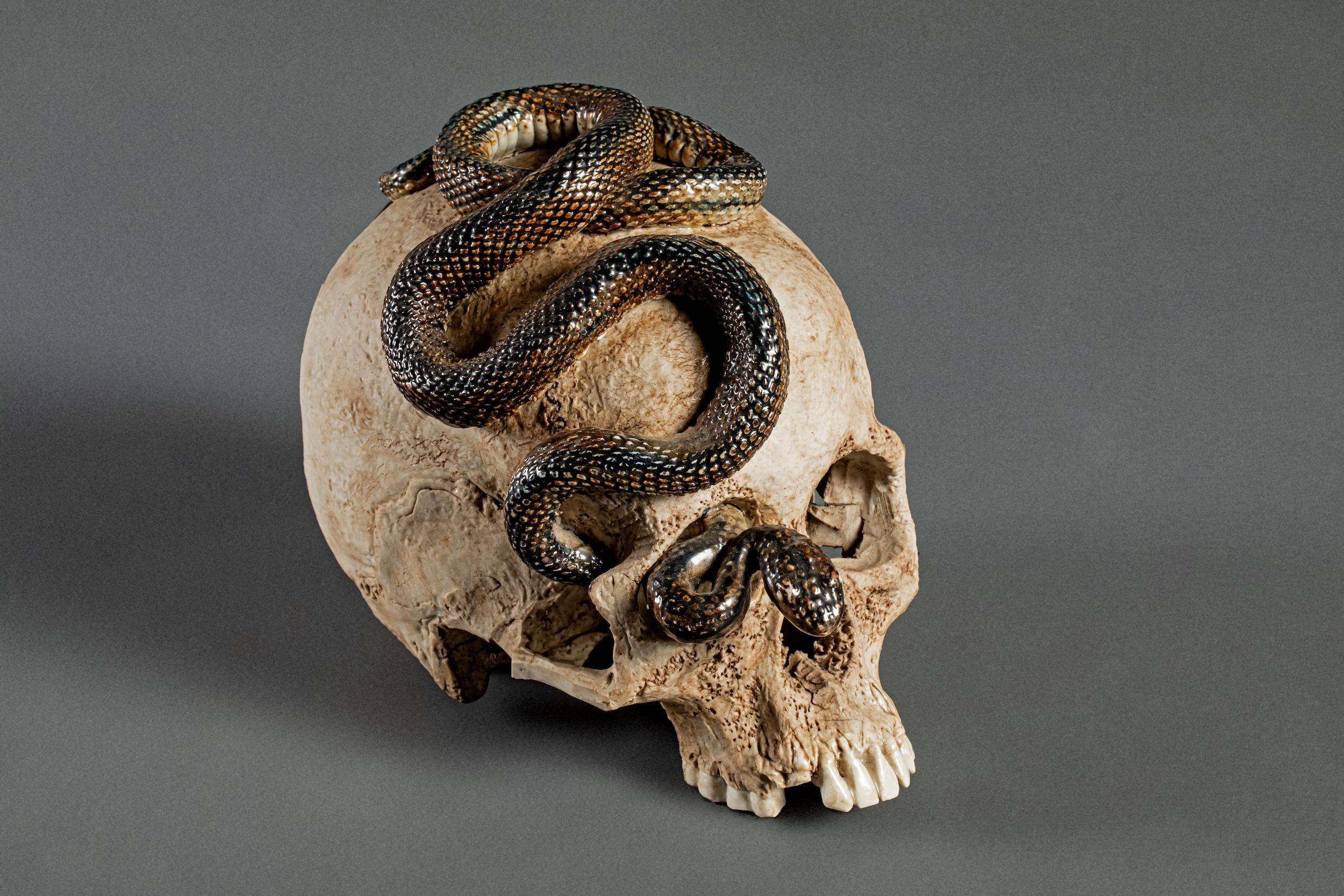 Japanese Ceramic Form of a Human Skull with a Snake For Sale 2
