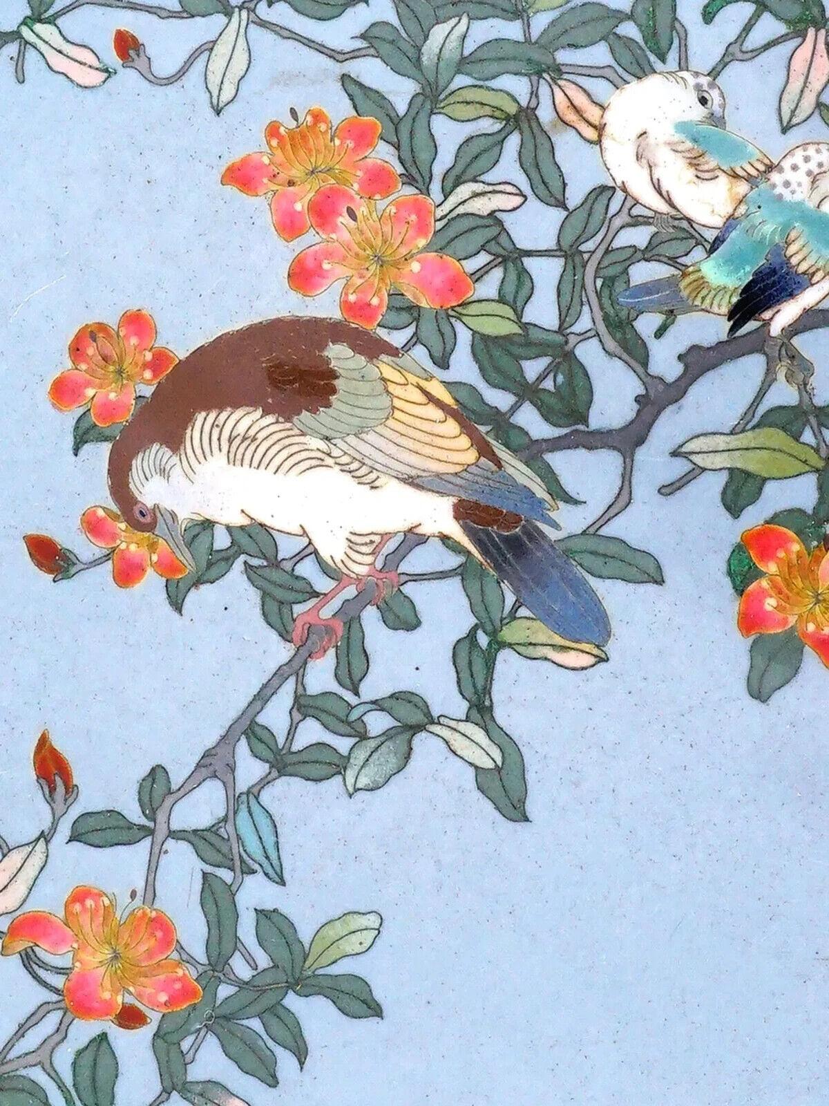 Giapponese Placca giapponese in smalto cloisonne raffigurante uccelli e fiori in vendita