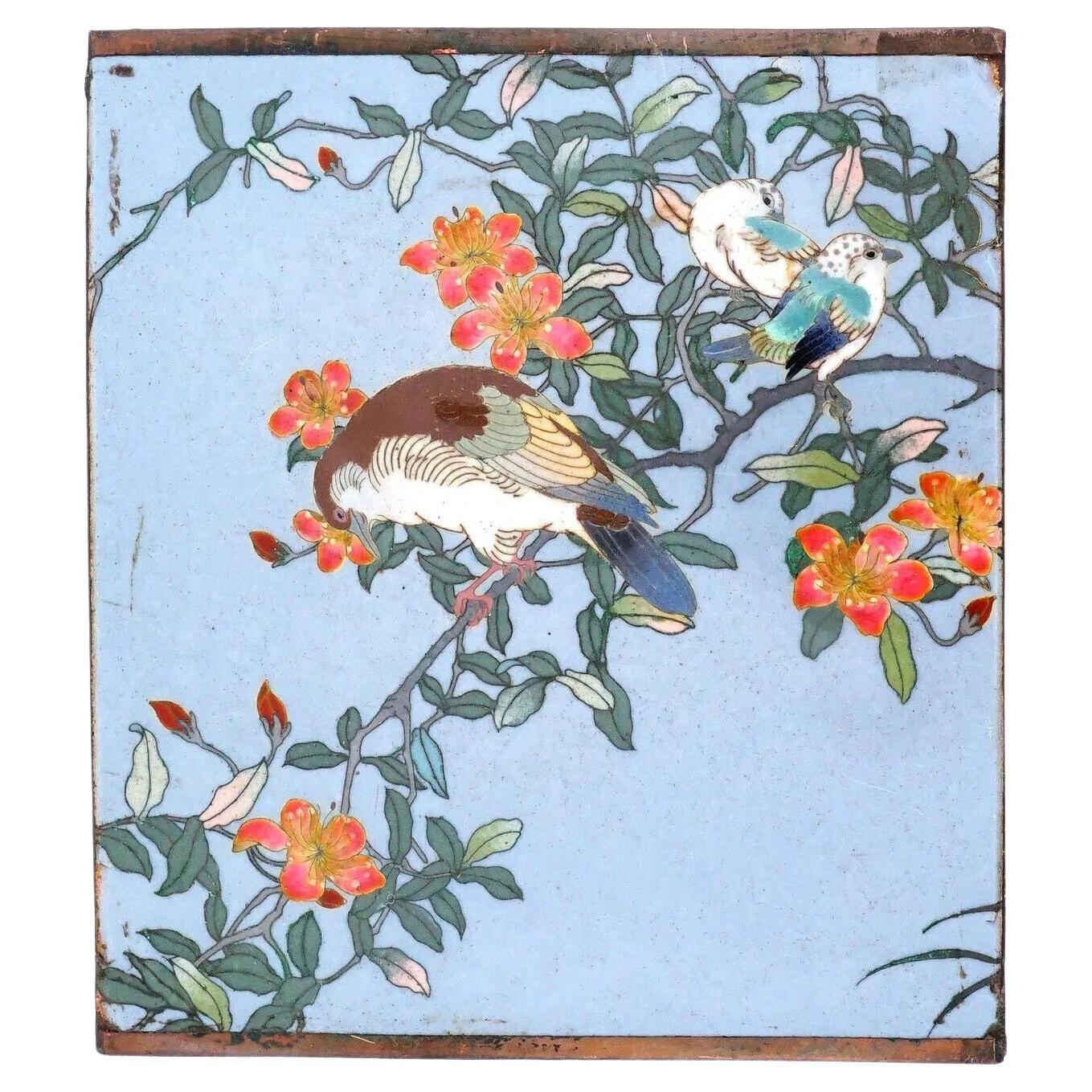 Placa japonesa de esmalte de cloisonné con pájaros y flores