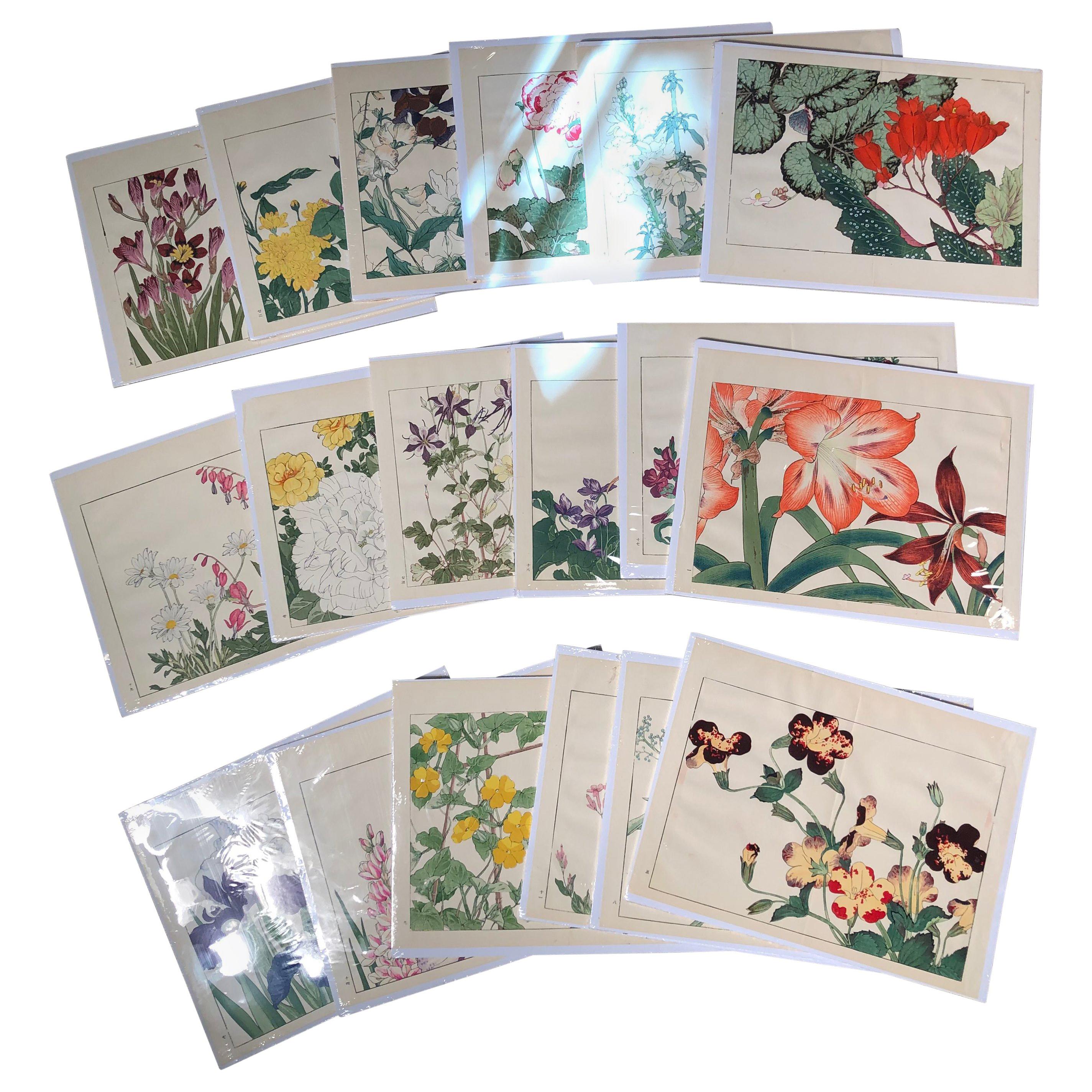 Japanese Flower Prints  Collection 18 Old Woodblock Vibrant Colors, Frameable
