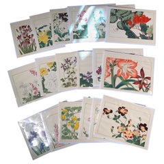 Vintage Japanese Flower Prints  Collection 18 Old Woodblock Vibrant Colors, Frameable