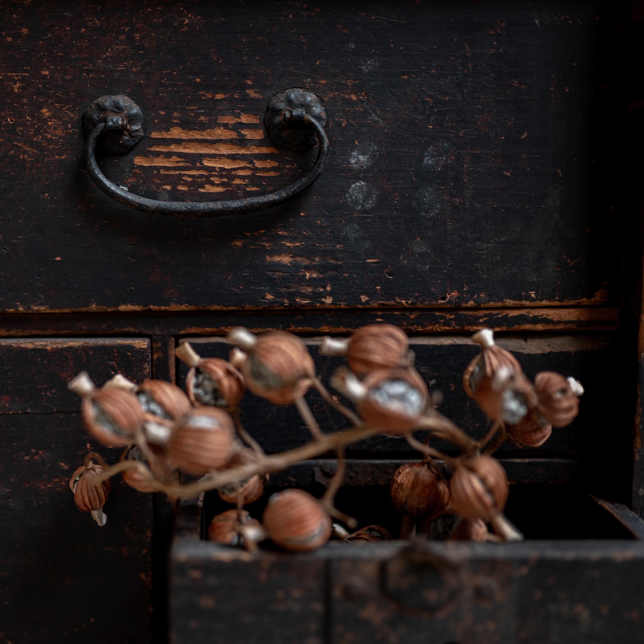 Japanese Drawer Chest, Wabi-sabi, Japan For Sale 2
