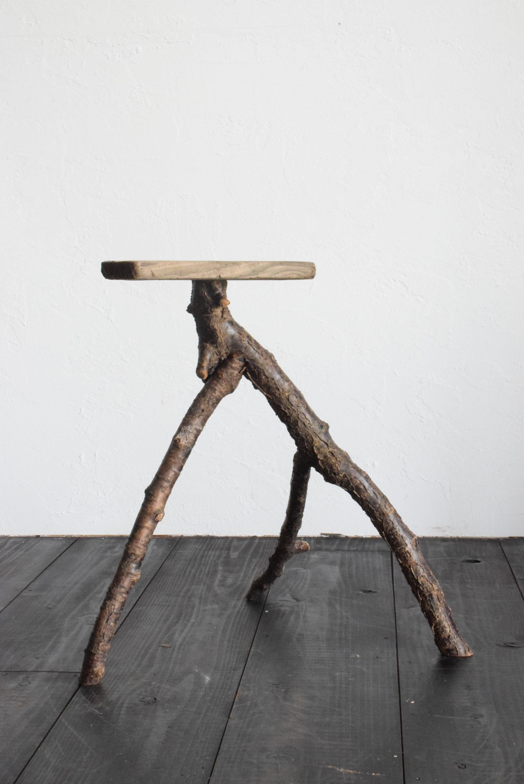 Japanese Driftwood Stand /Exhibition Table / Flower Stand /Wabisabi Stand 5