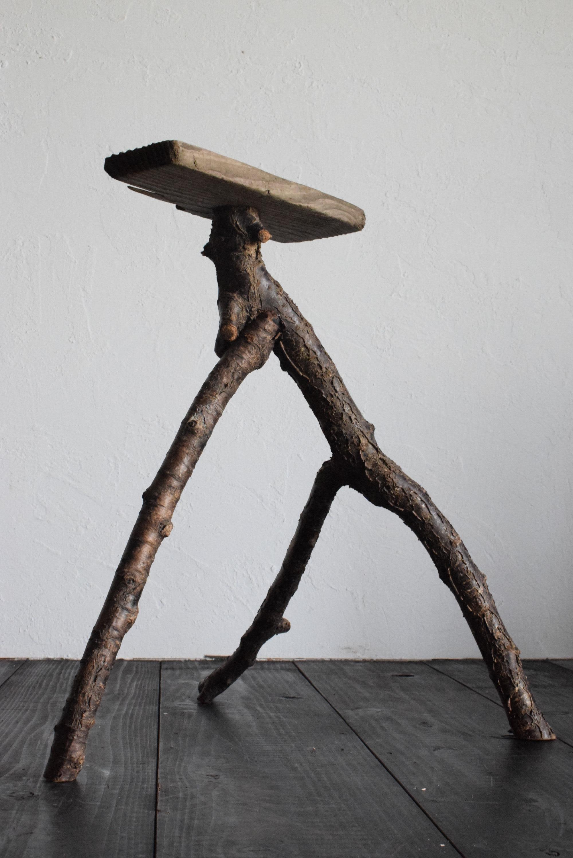 Contemporary Japanese Driftwood Stand /Exhibition Table / Flower Stand /Wabisabi Stand