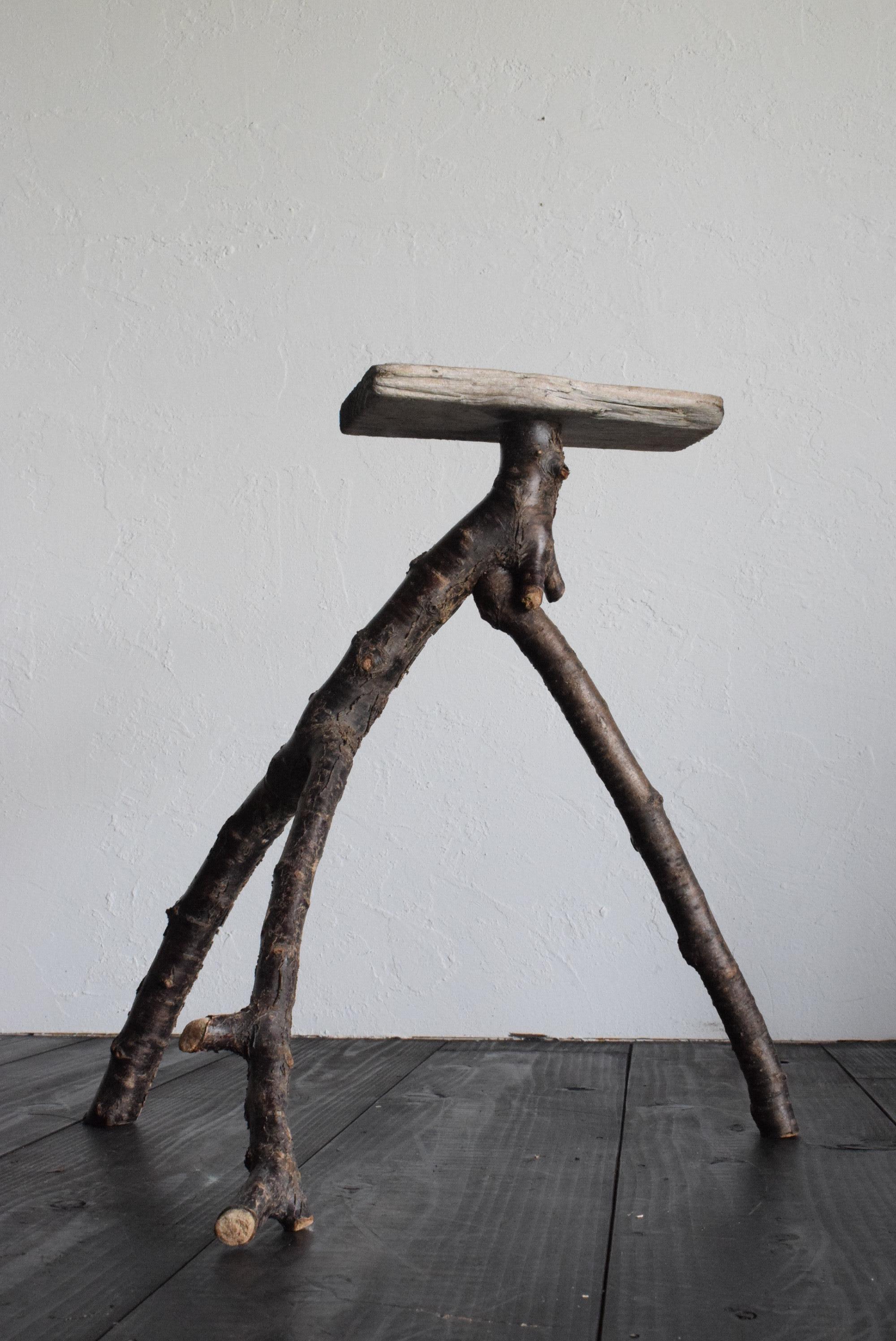 Japanese Driftwood Stand /Exhibition Table / Flower Stand /Wabisabi Stand 1