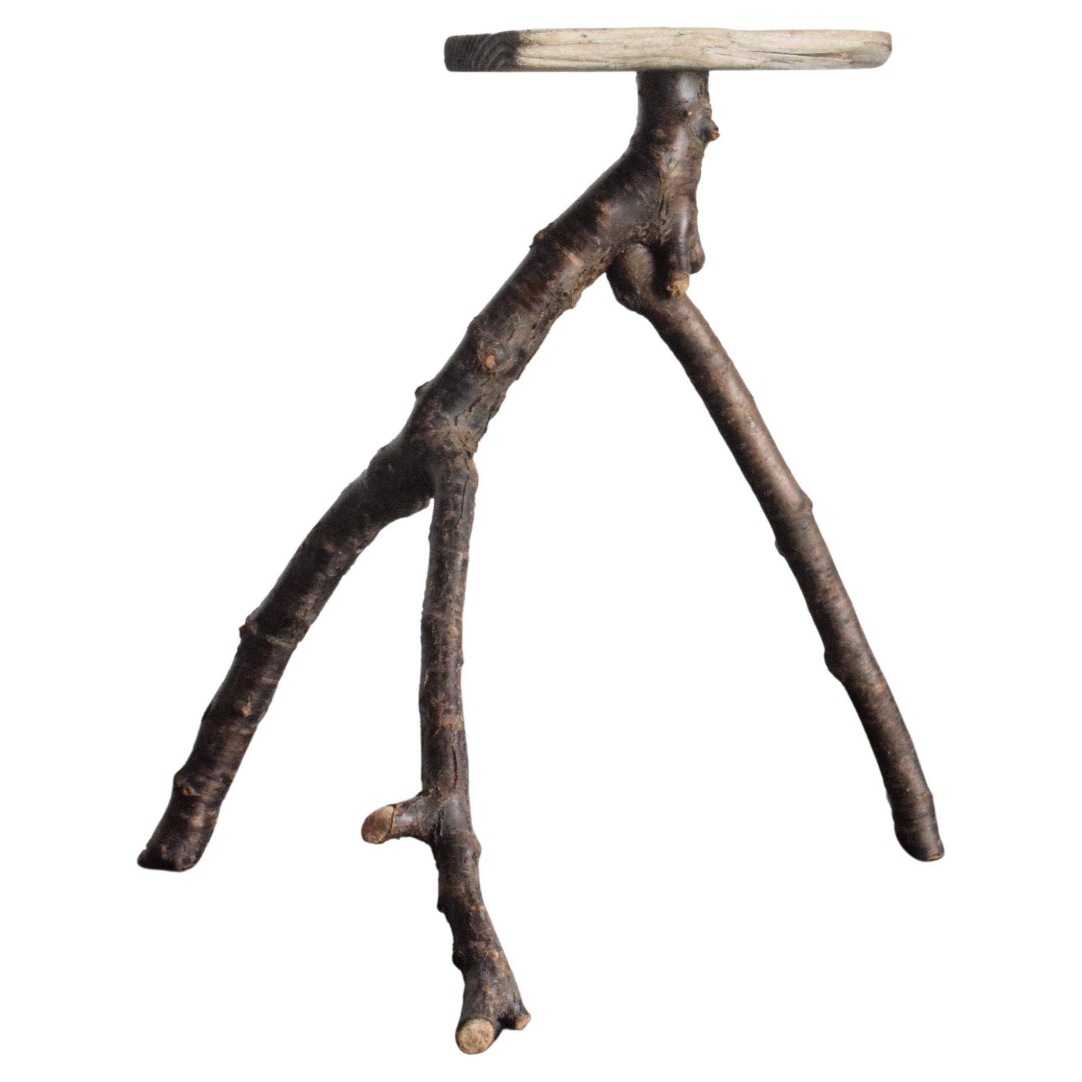 Japanese Driftwood Stand /Exhibition Table / Flower Stand /Wabisabi Stand