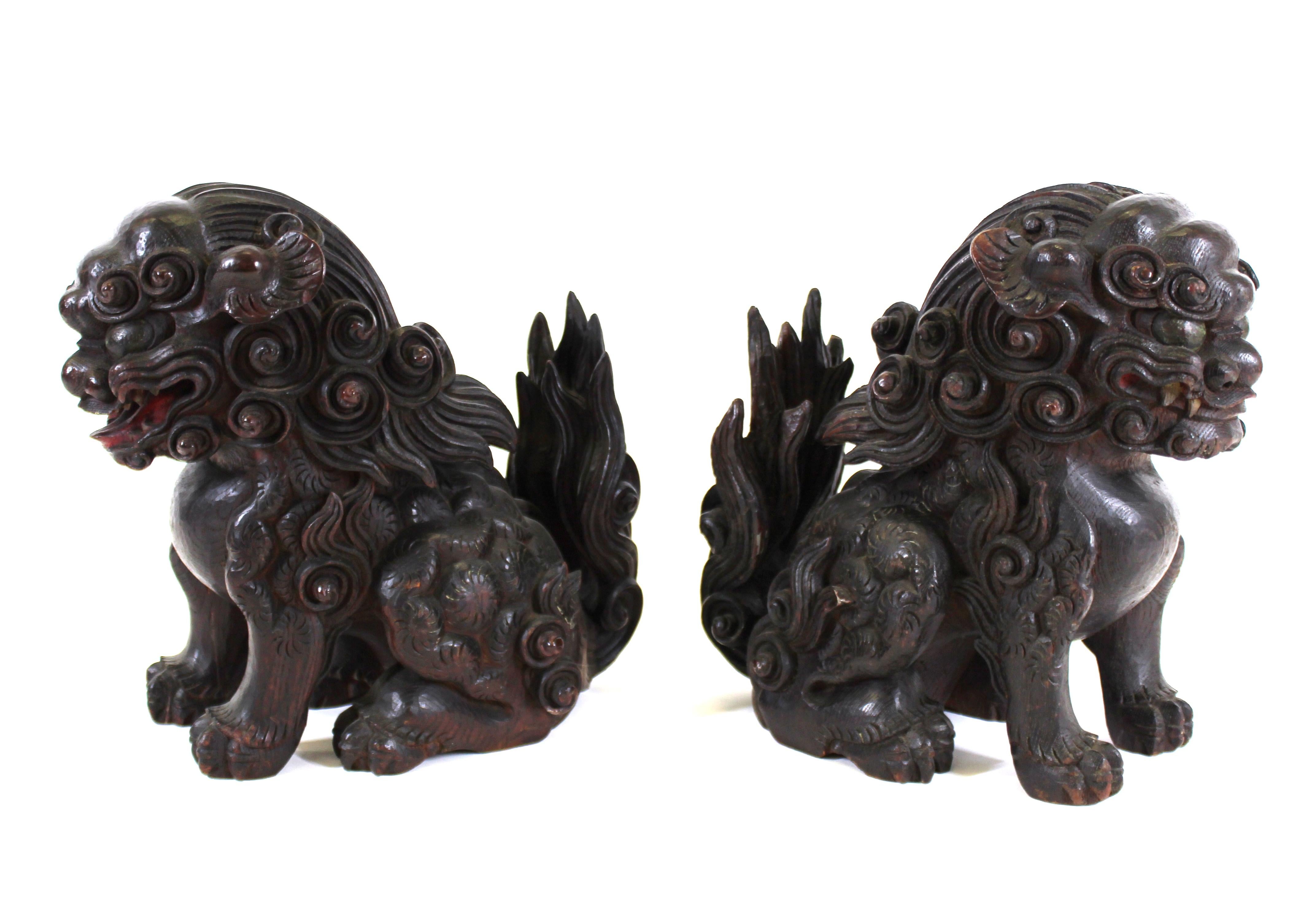 foo dog with open mouth