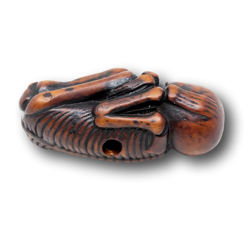 Période Edo japonaise (1603-1868) Foetus Netsuke en vente 4