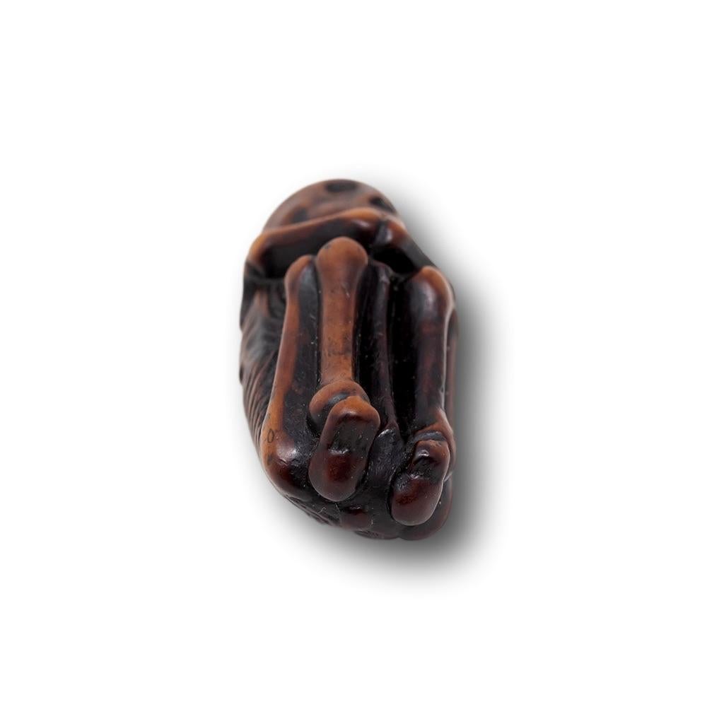 Japonais Période Edo japonaise (1603-1868) Foetus Netsuke en vente