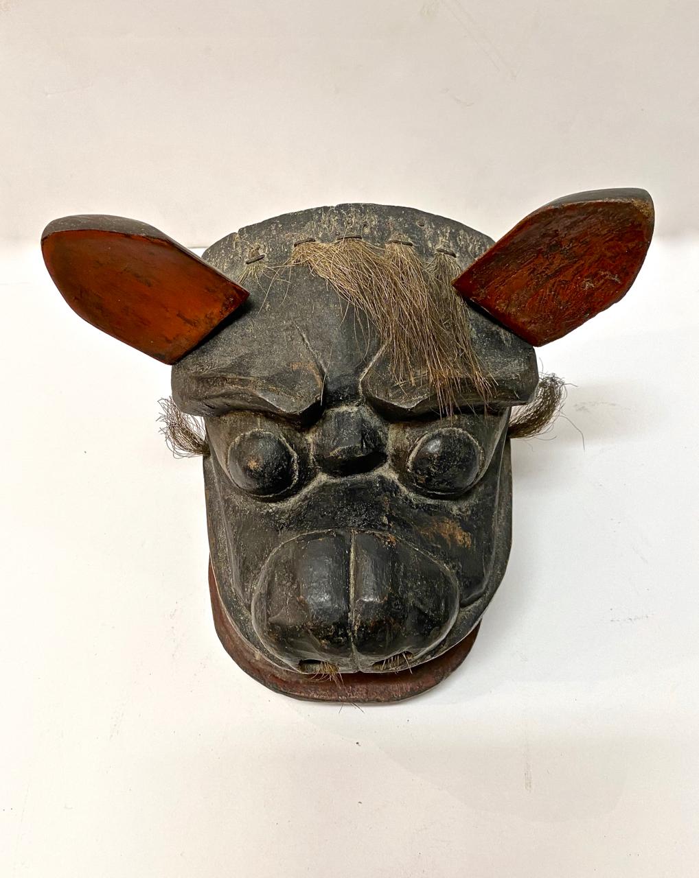 Dies ist ein weiteres hervorragendes Beispiel für eine Löwenmaske aus der Edo-Periode (frühes 18. Jahrhundert oder früher), die für die Löwentänze des Gion-Matsuri-Festivals geschaffen wurde. Die Maske ist in einem insgesamt guten Zustand für ihr