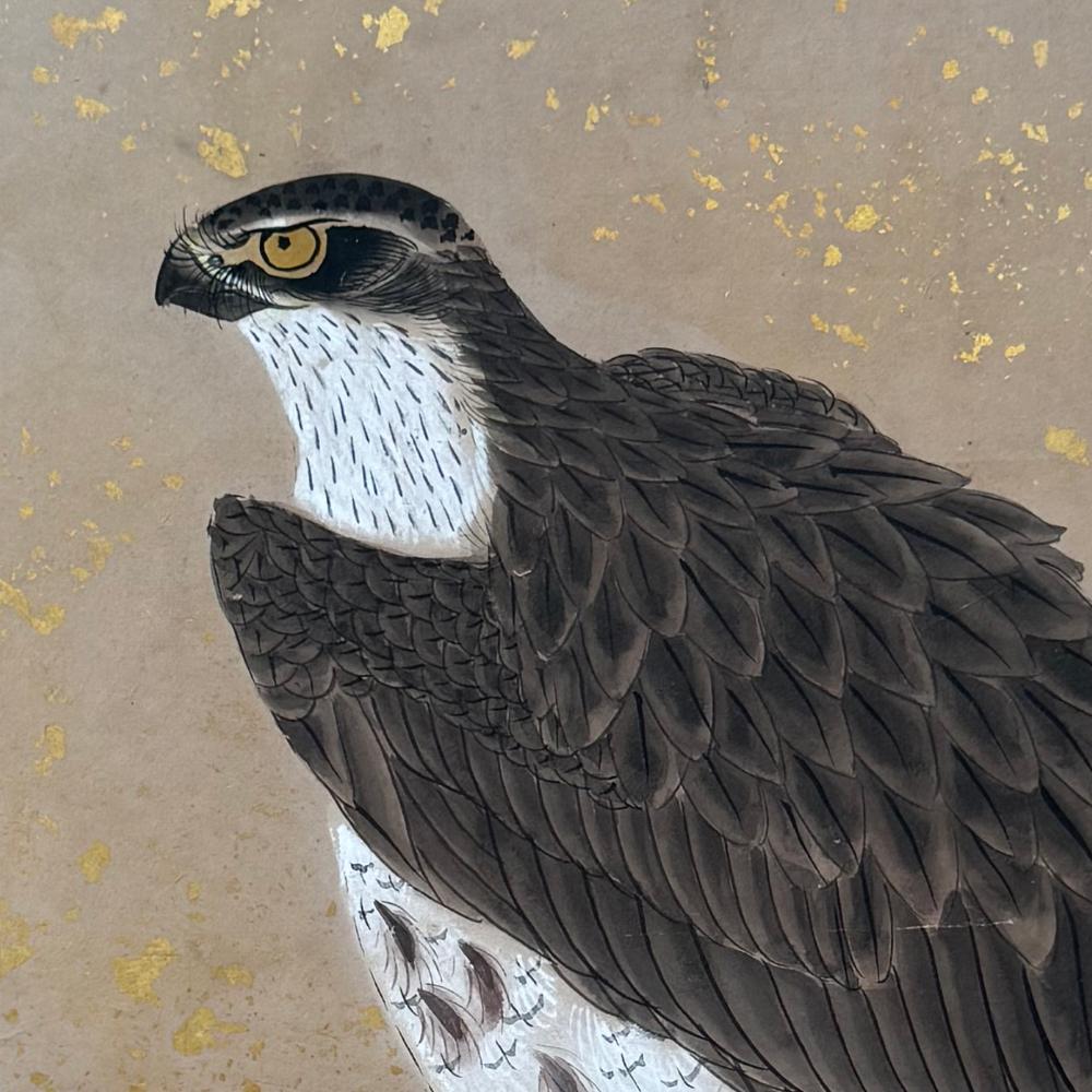 Hand-Crafted Japanese Edo Period Two-Panel Hawks' Screen