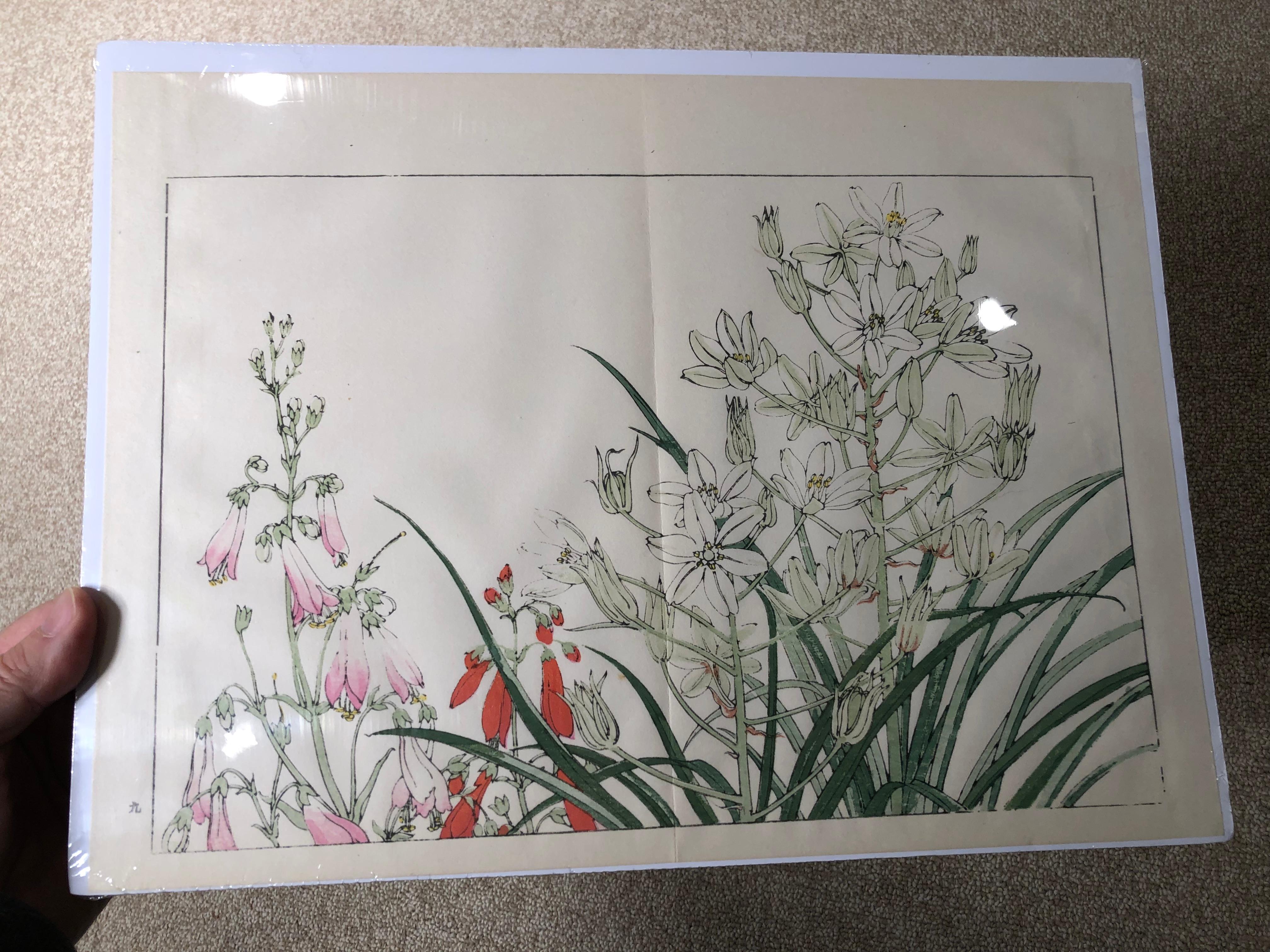 Japanese Eight Old Woodblock Flower Prints, Full Colors, Immediately Frameable#1 3