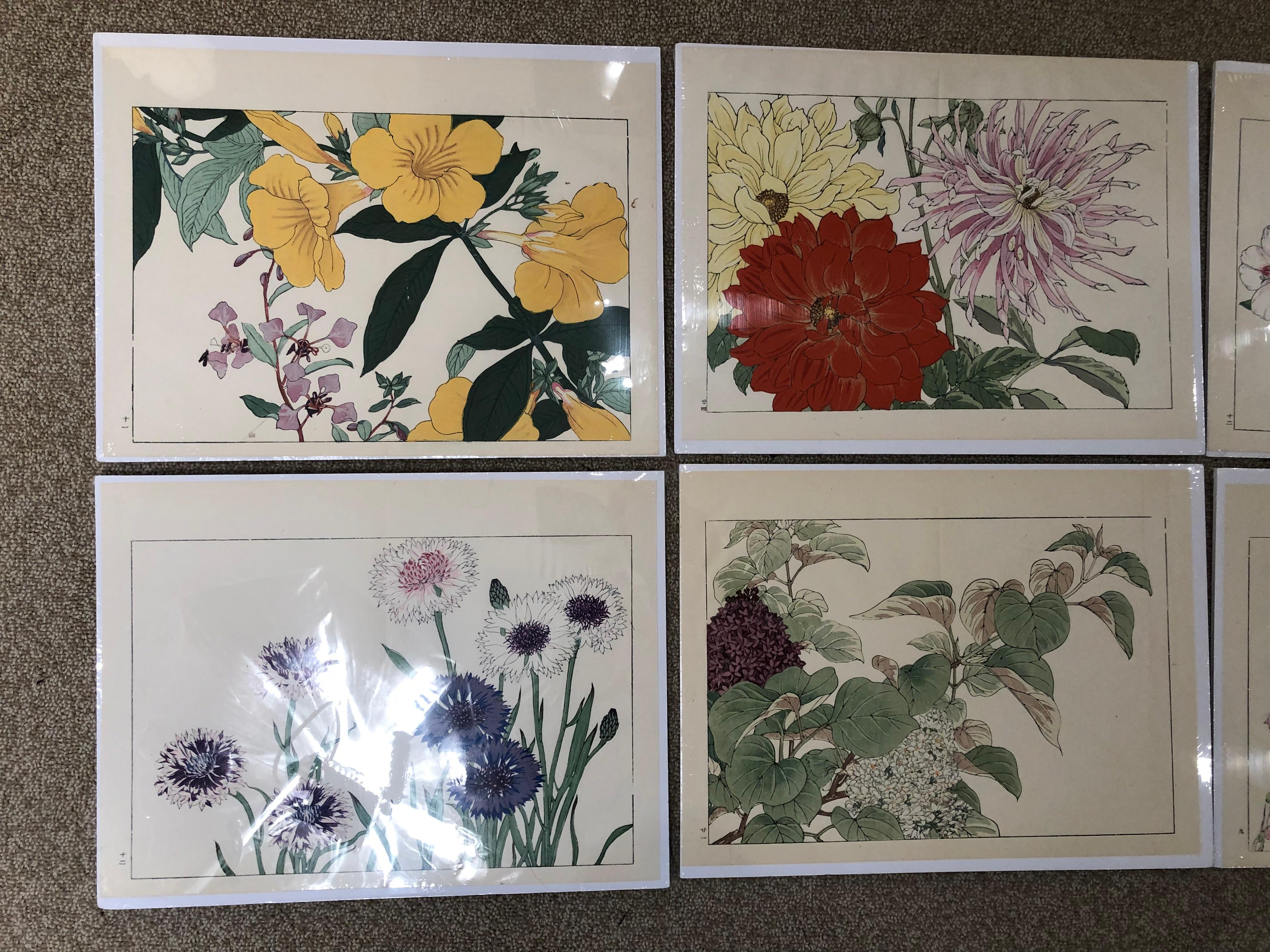 Japan woodblock flower prints, Tanigami Konan (1879-1928) set of eight (8) from original book.

These exuberant 20th century botanical works were originally created to appeal to westerners and to celebrate the beauty and splendor of all seasons