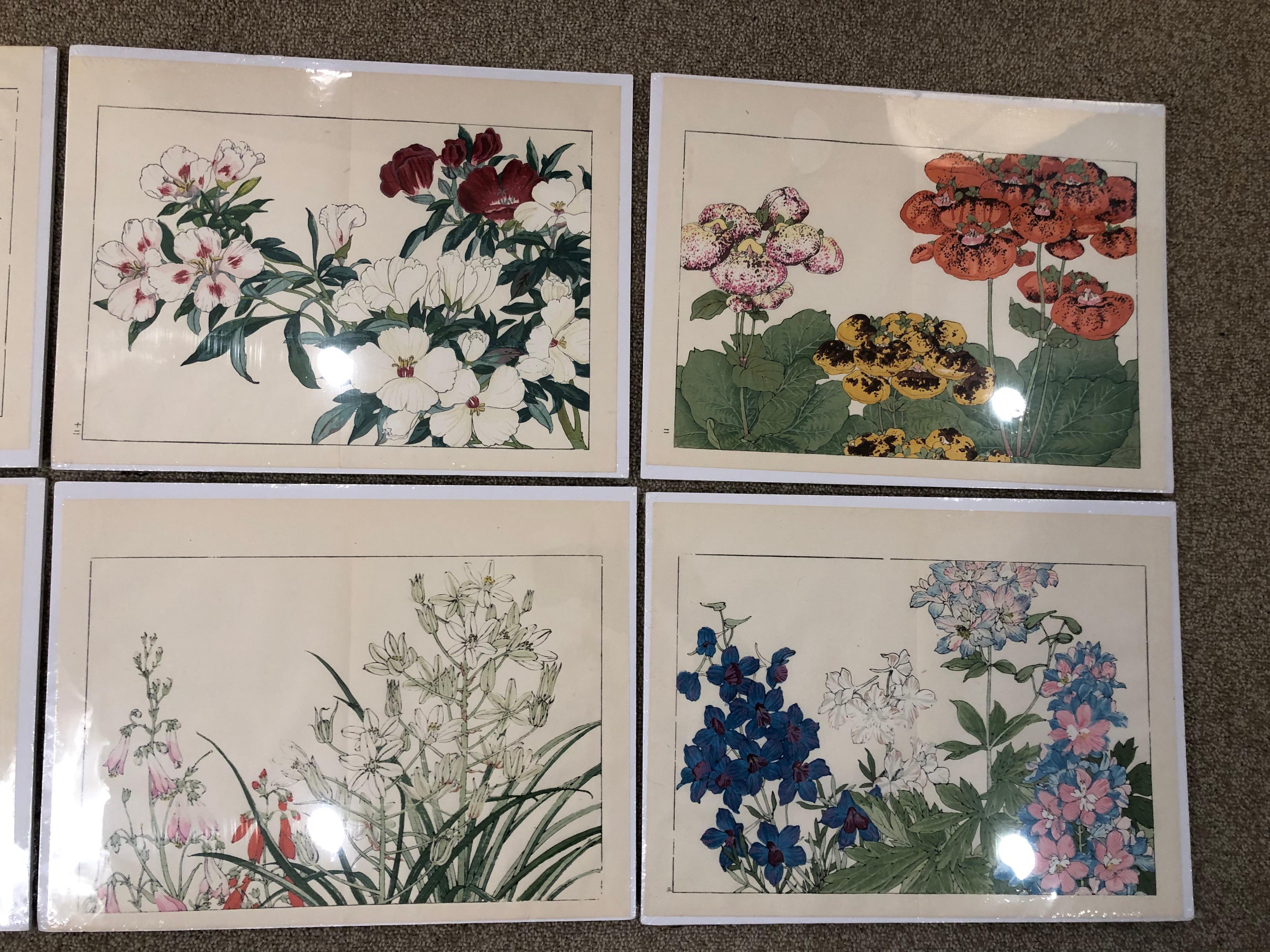 Showa Japanese Eight Old Woodblock Flower Prints, Full Colors, Immediately Frameable#1