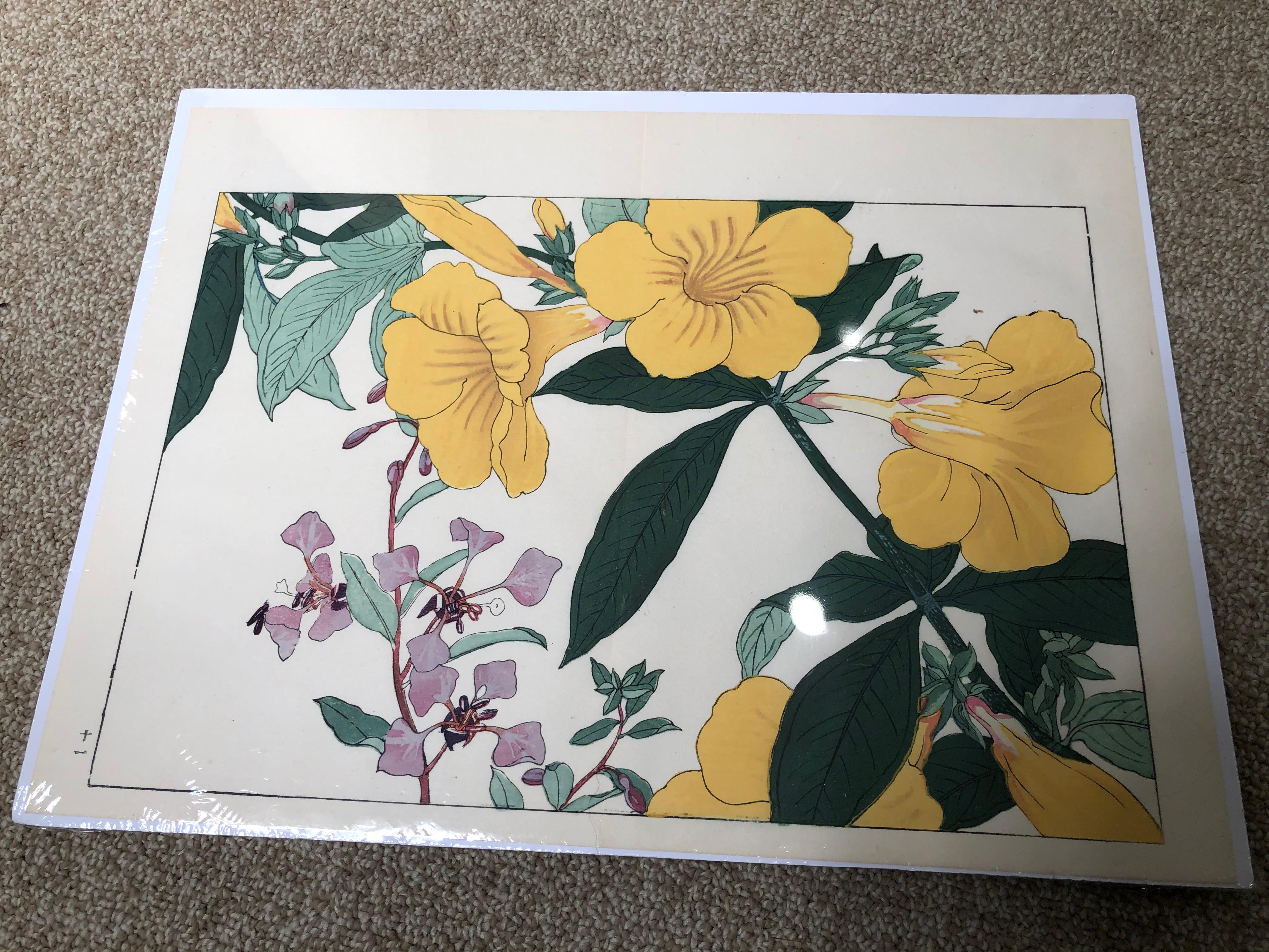 Hand-Crafted Japanese Eight Old Woodblock Flower Prints, Full Colors, Immediately Frameable#1