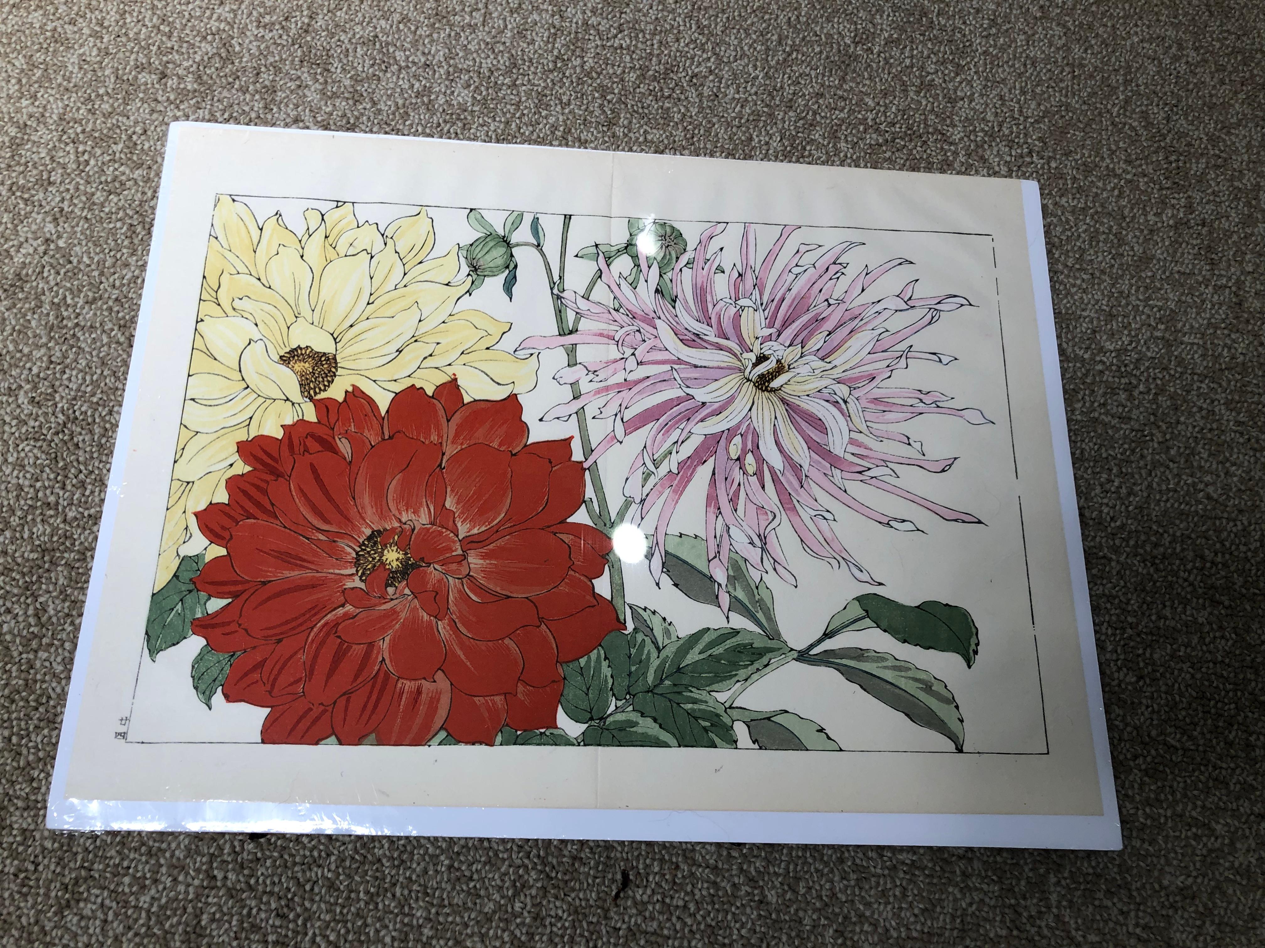 Japanese Eight Old Woodblock Flower Prints, Full Colors, Immediately Frameable#1 In Good Condition In South Burlington, VT