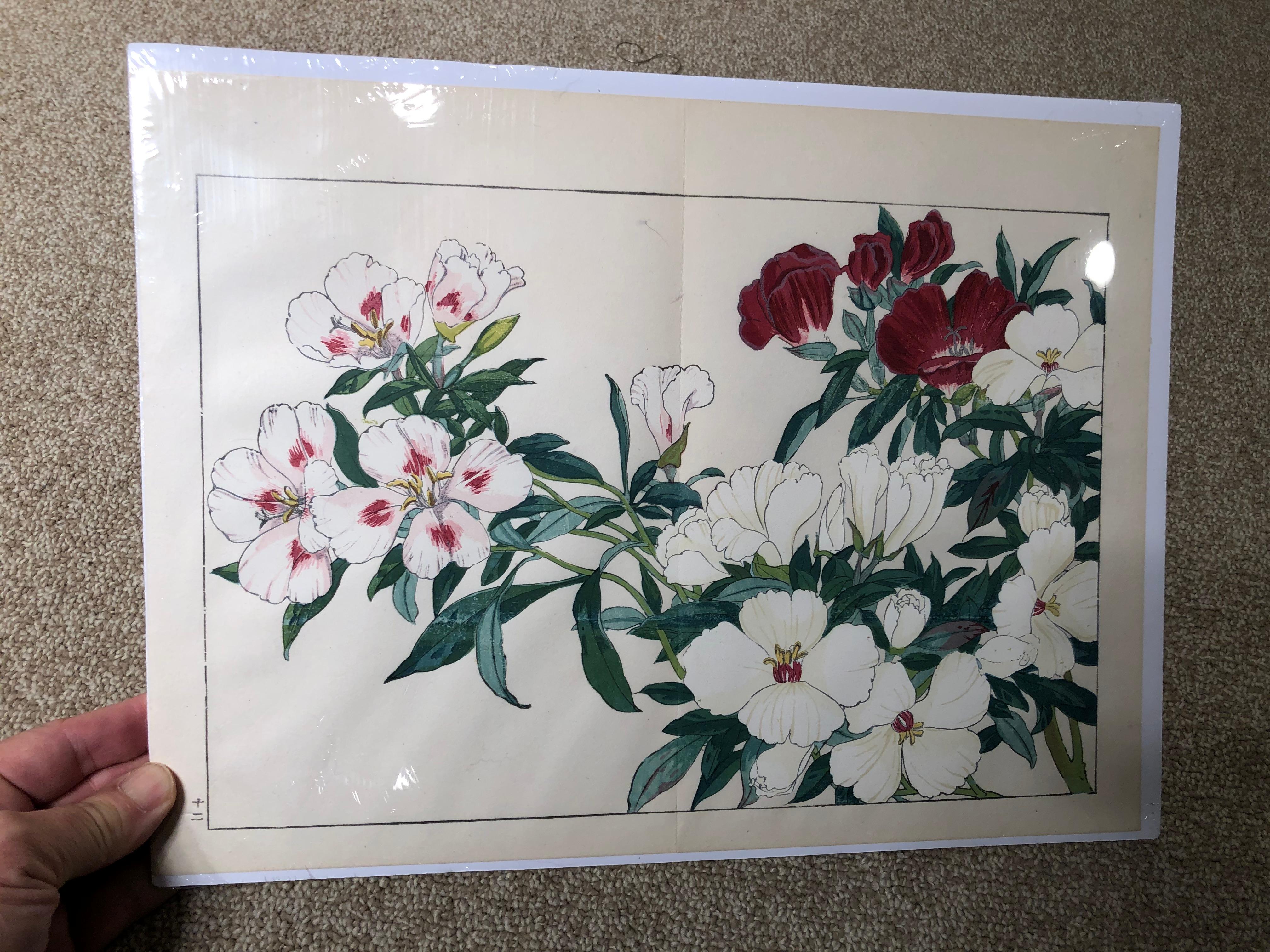 20th Century Japanese Eight Old Woodblock Flower Prints, Full Colors, Immediately Frameable#1