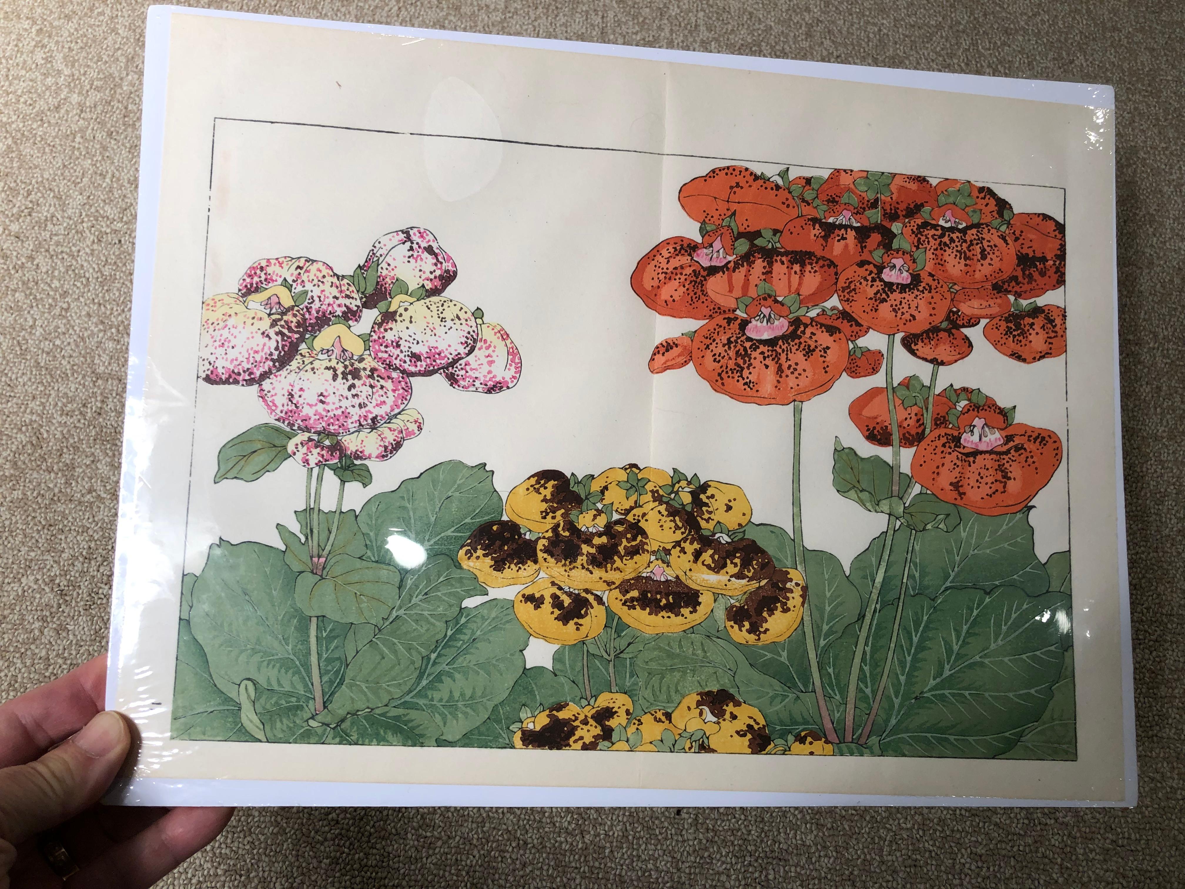 Paper Japanese Eight Old Woodblock Flower Prints, Full Colors, Immediately Frameable#1