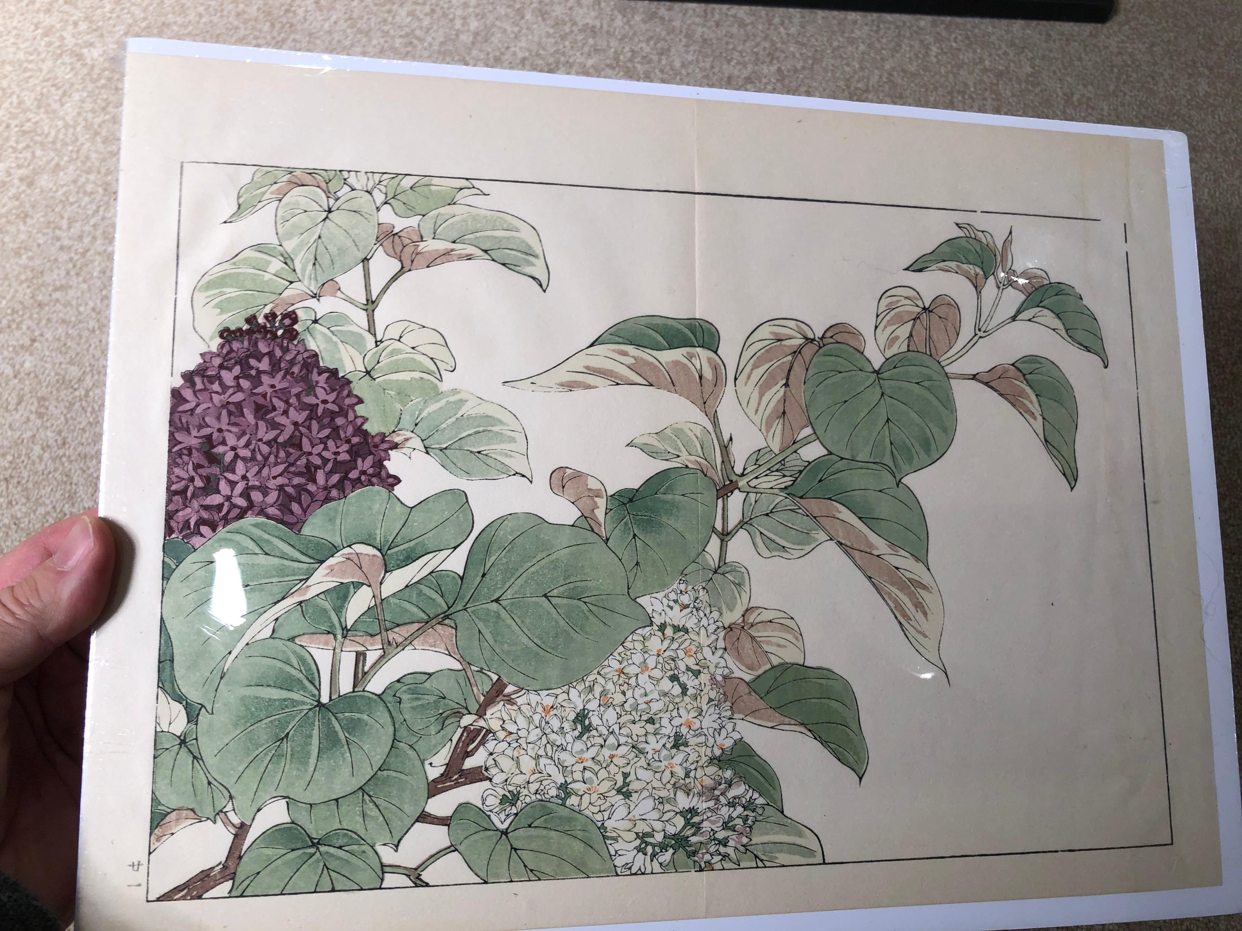 Japanese Eight Old Woodblock Flower Prints, Full Colors, Immediately Frameable#1 2