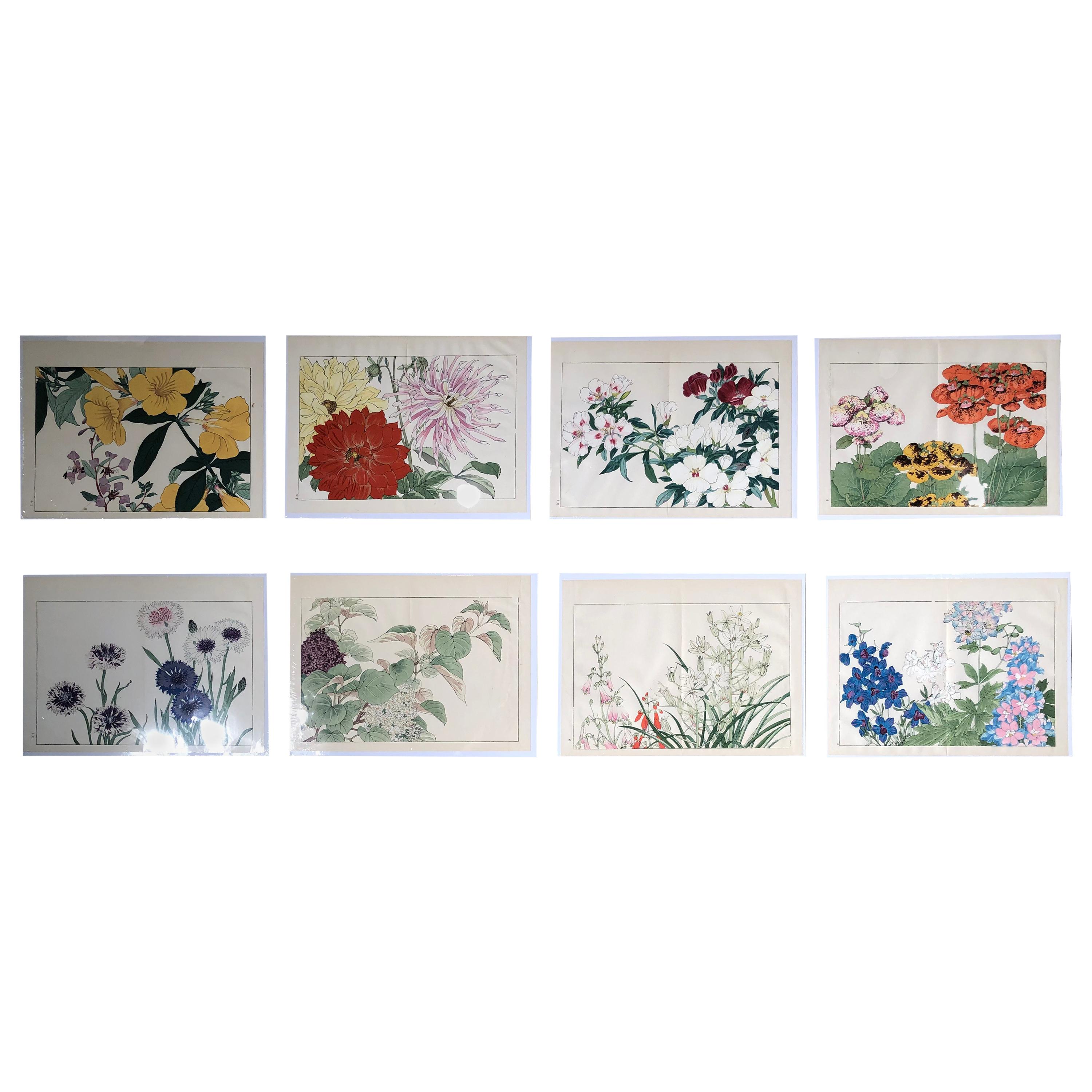 Japanese Eight Old Woodblock Flower Prints, Full Colors, Immediately Frameable#1