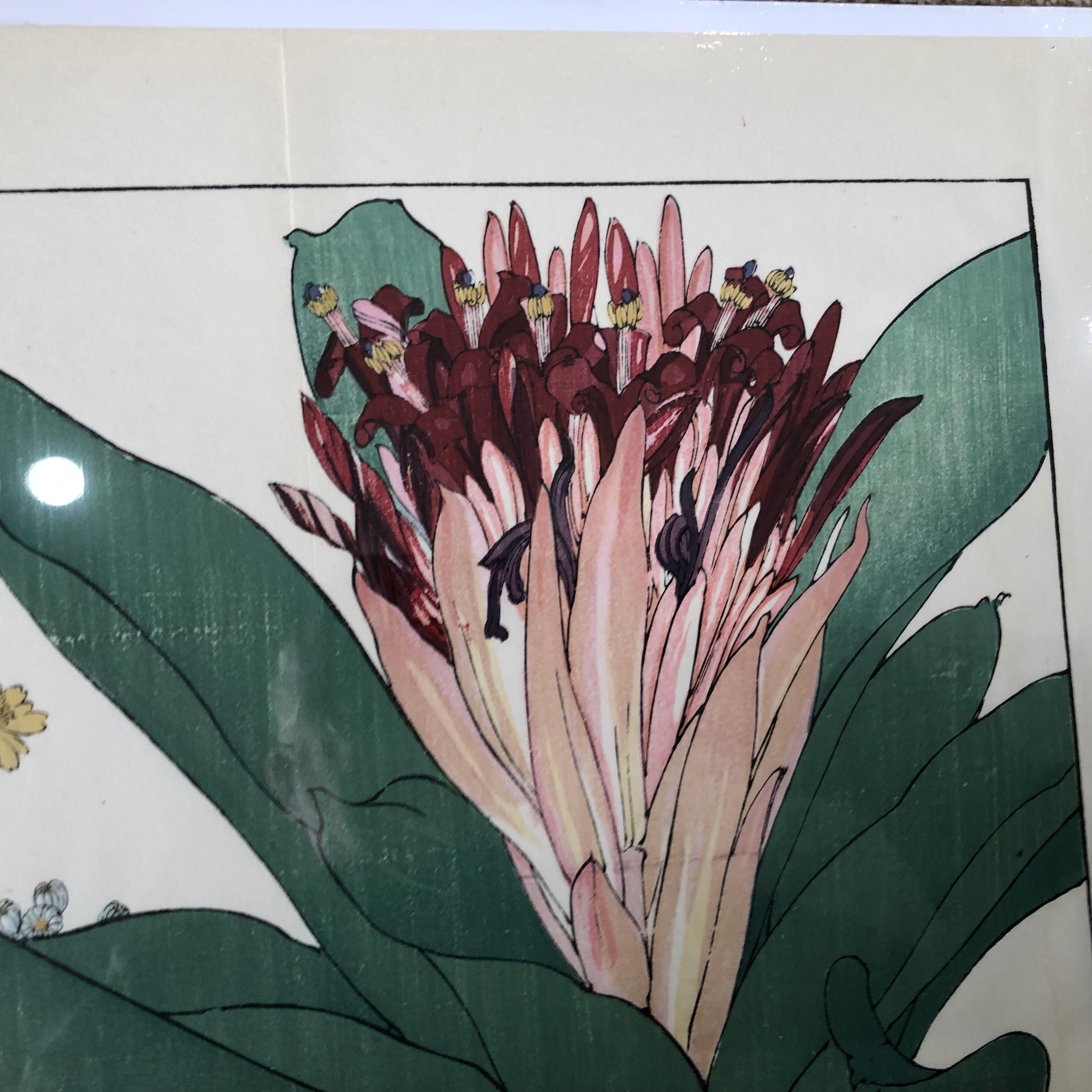Japanese Eight Old Woodblock Flower Prints, Superb Colors, Immed Frameable #2 6