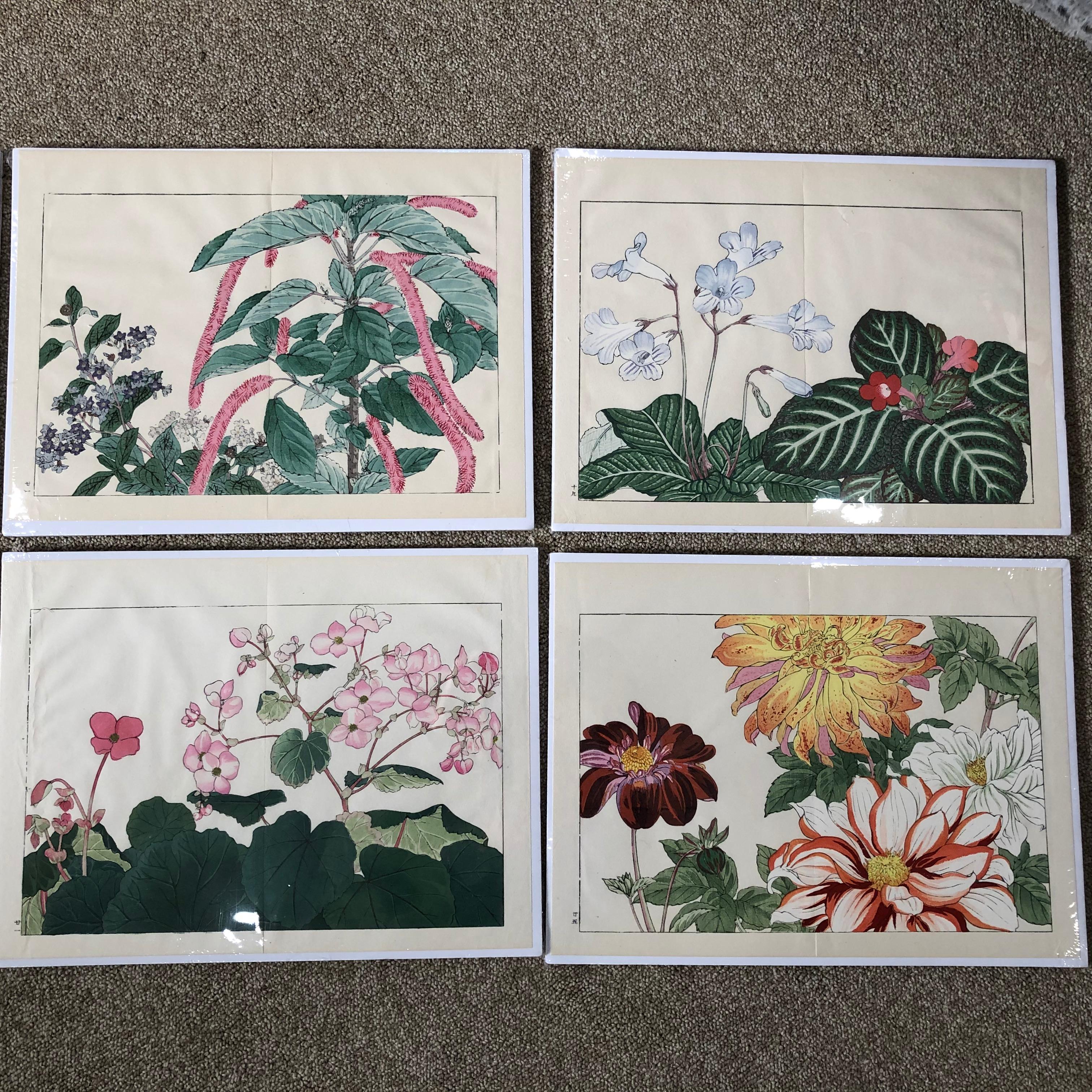 Showa Japanese Eight Old Woodblock Flower Prints, Superb Colors, Immed Frameable #2
