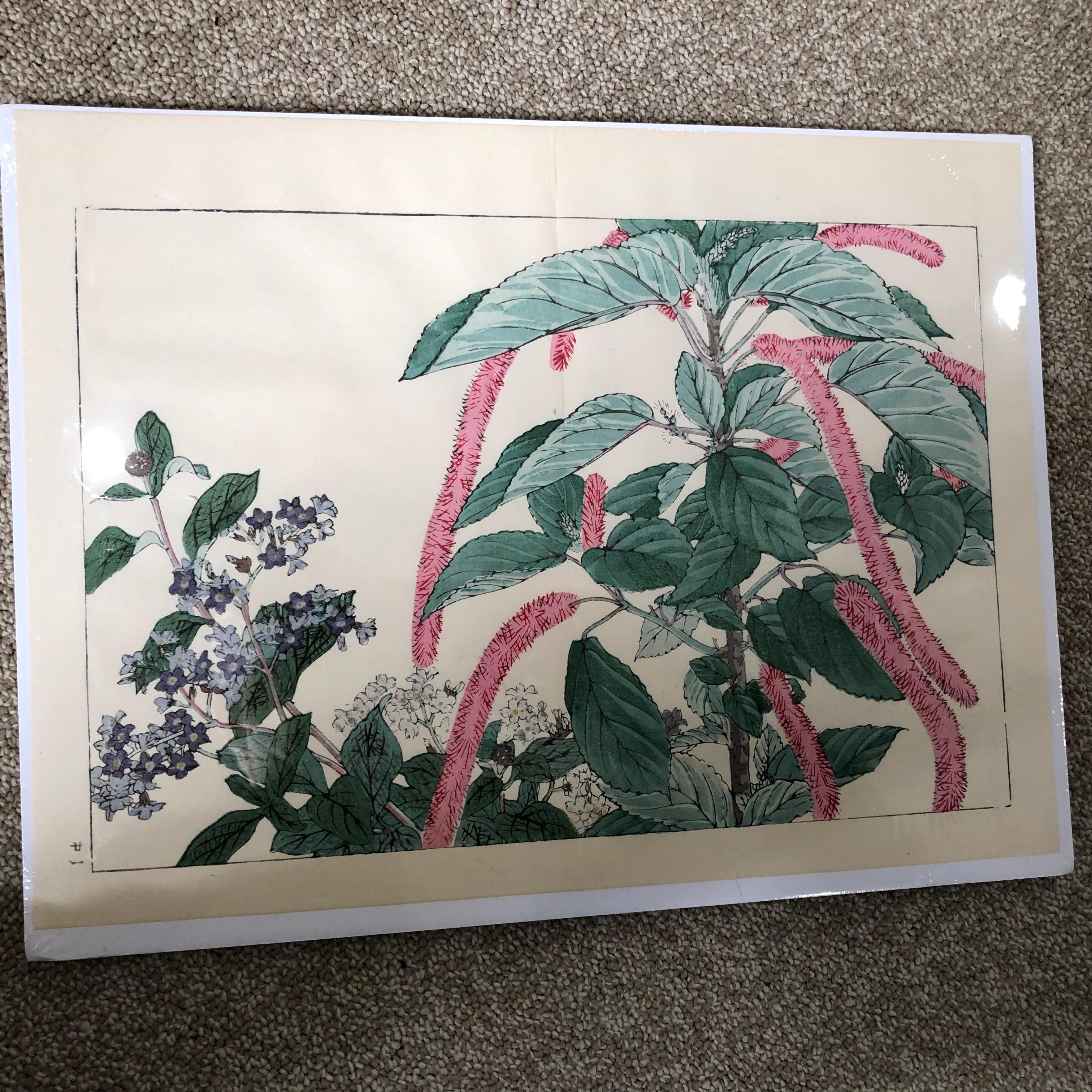 Japanese Eight Old Woodblock Flower Prints, Superb Colors, Immed Frameable #2 1