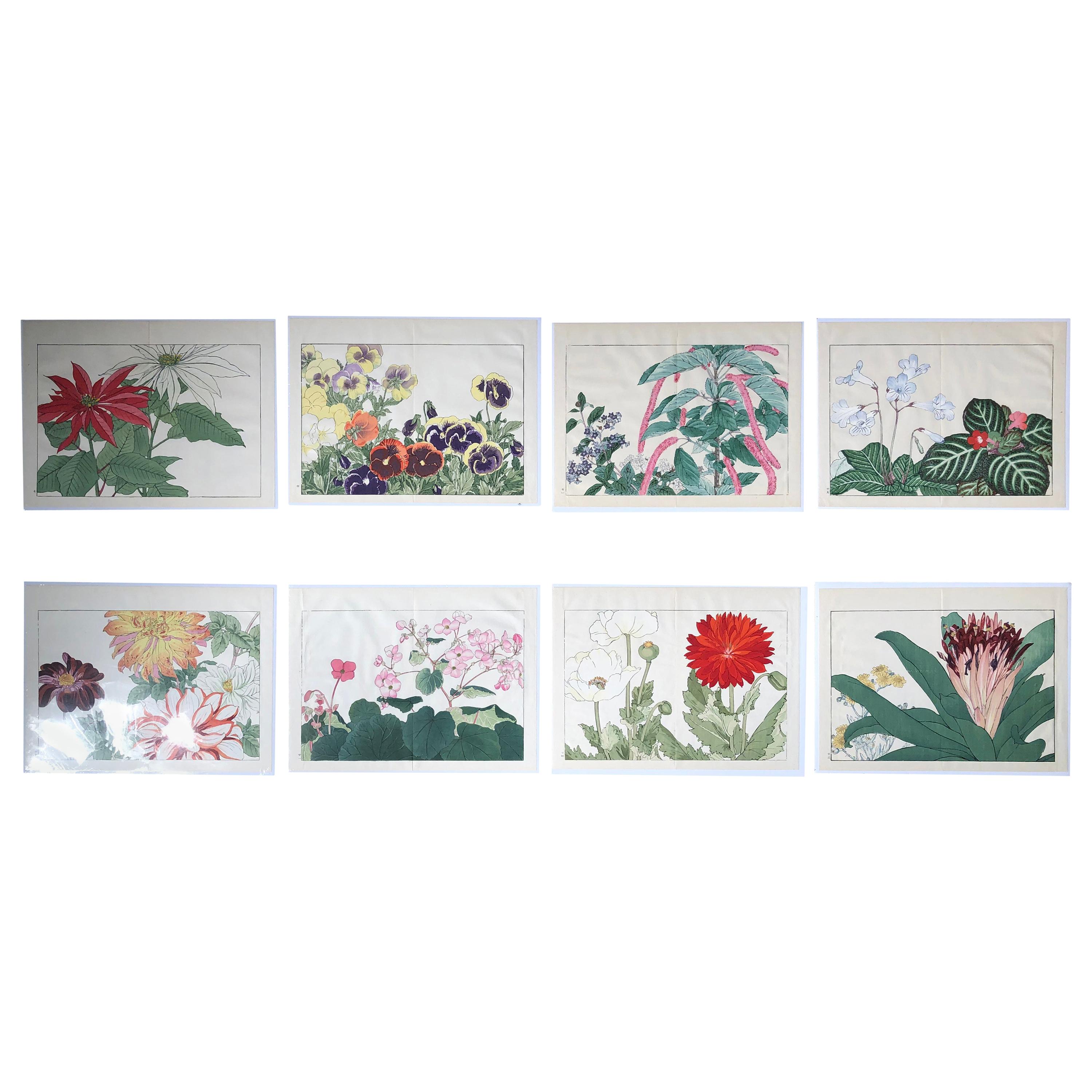 Japanese Eight Old Woodblock Flower Prints, Superb Colors, Immed Frameable #2