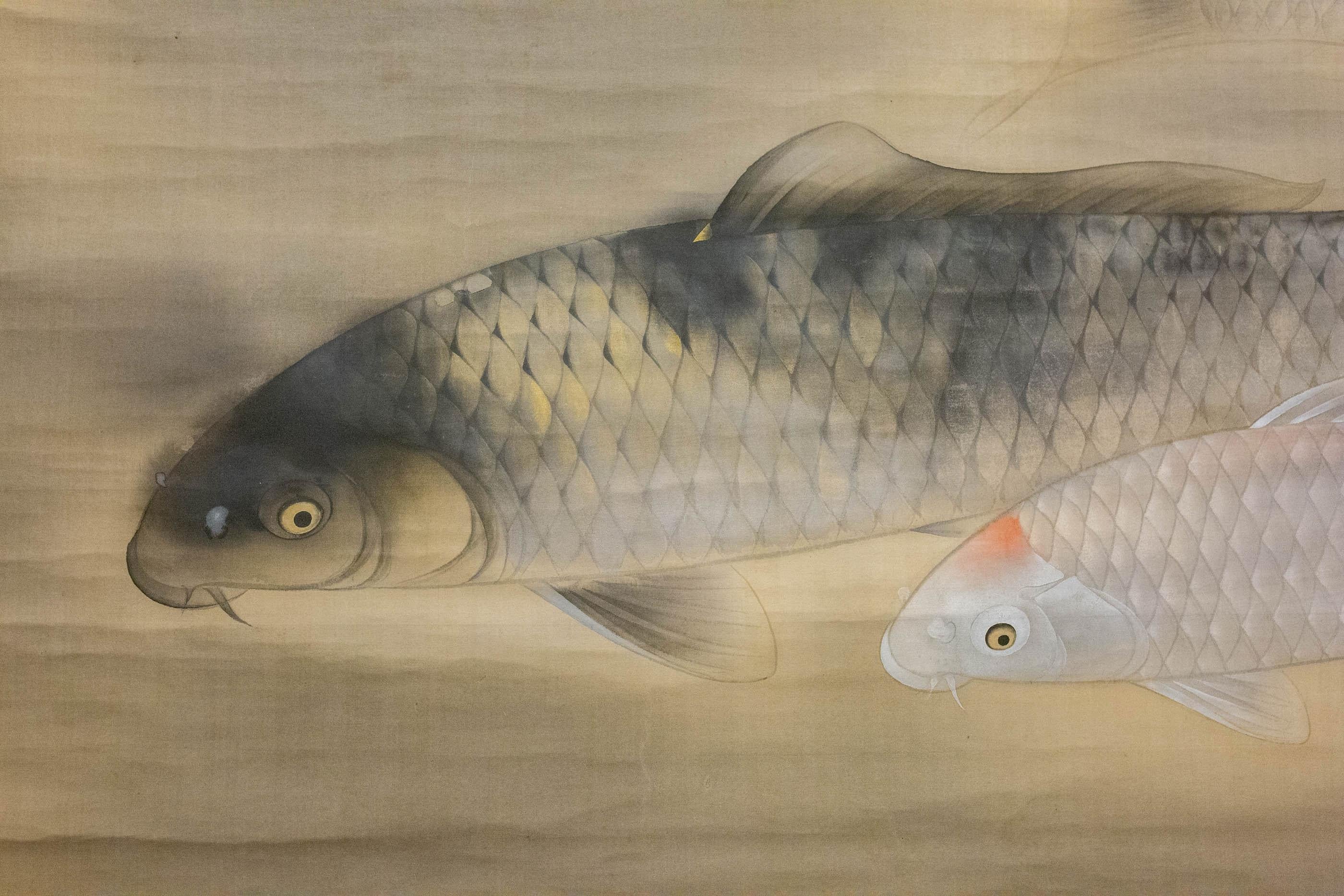 Silk Japanese Exhibition Hall Scroll: Swimming Carp