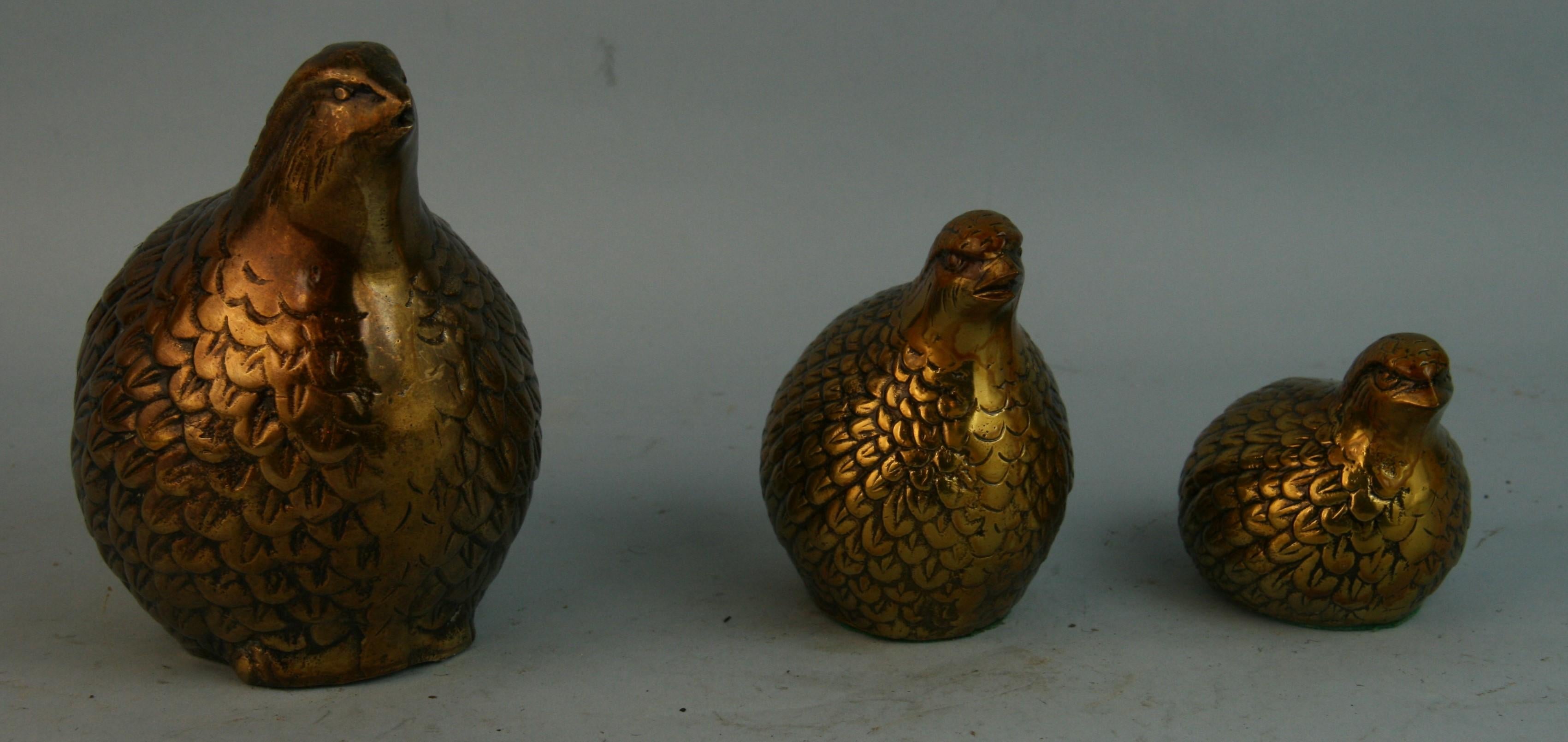 brass quail family