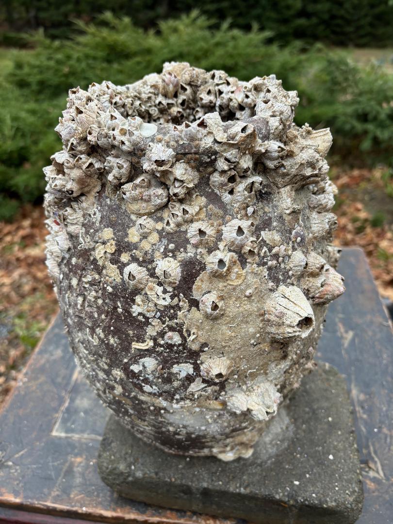 Feiner antiker japanischer Octopus-Fischtopf-  Seltener Fund im Zustand „Gut“ im Angebot in South Burlington, VT
