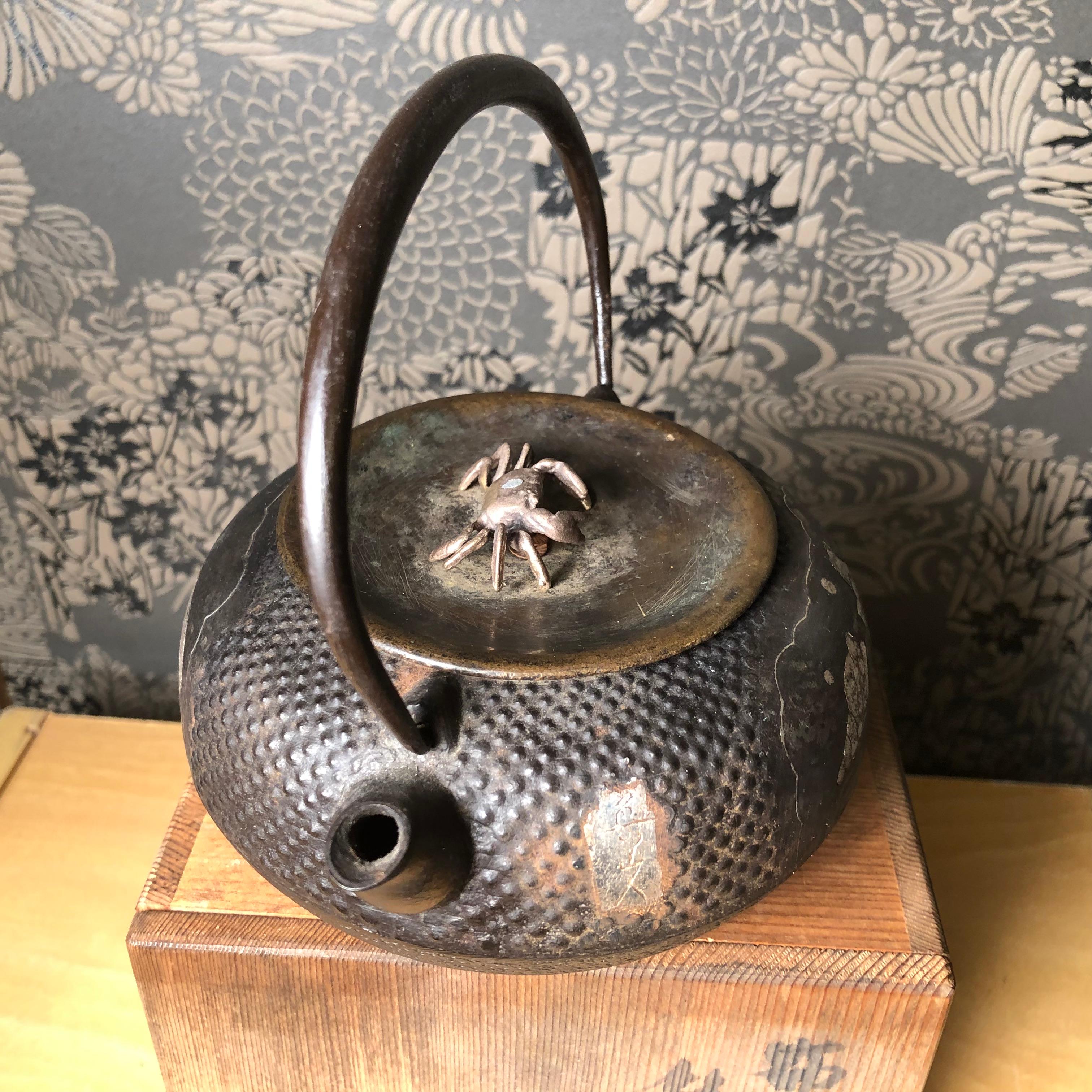 Japanese Fine Hand Cast Crab and Shells Theme Tea Pot Tetsubin, Signed 1930s 2