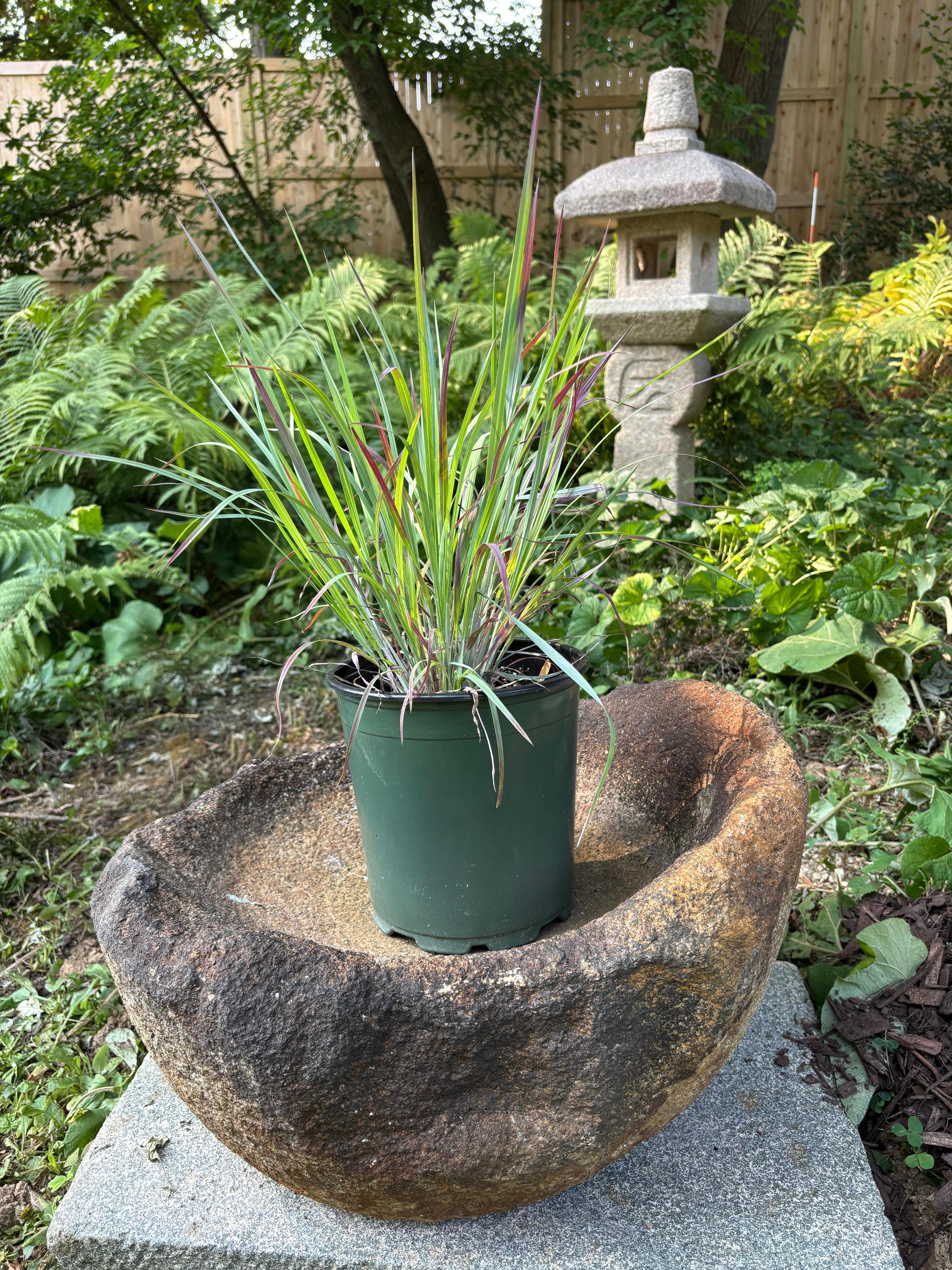 Taisho Grande jardinière de montagne et bassin d'eau en pierre naturelle rouge ancienne japonaise en vente