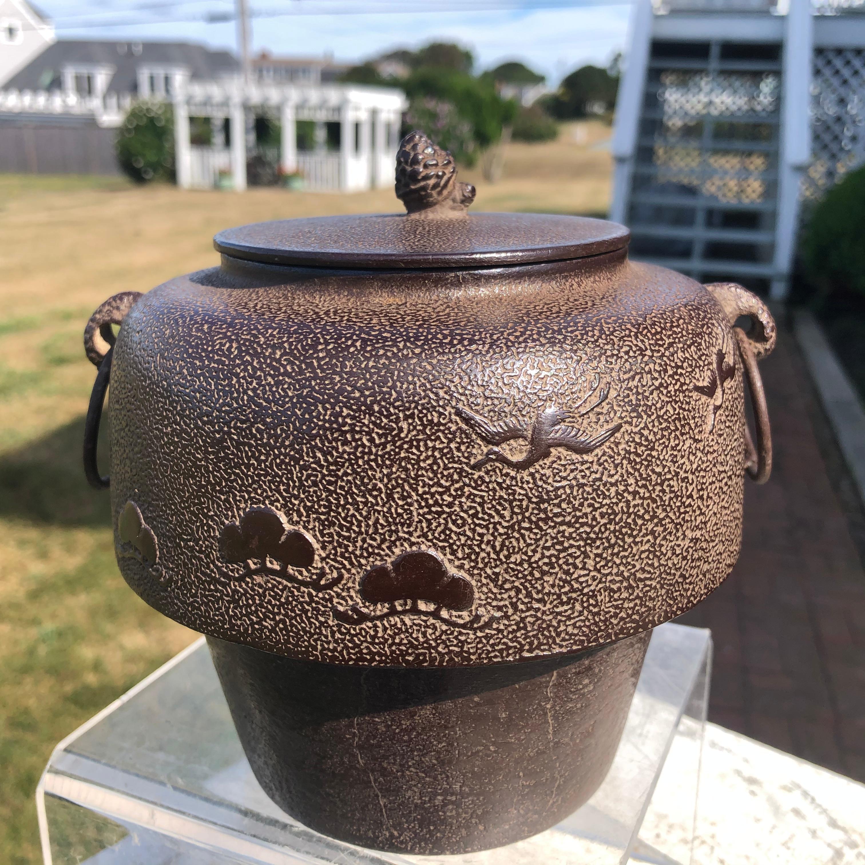 cast iron dragon teapot