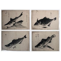 Japanese Four Antique "Fish" Hand Painted Sumi Ink Original Drawings, Frameable