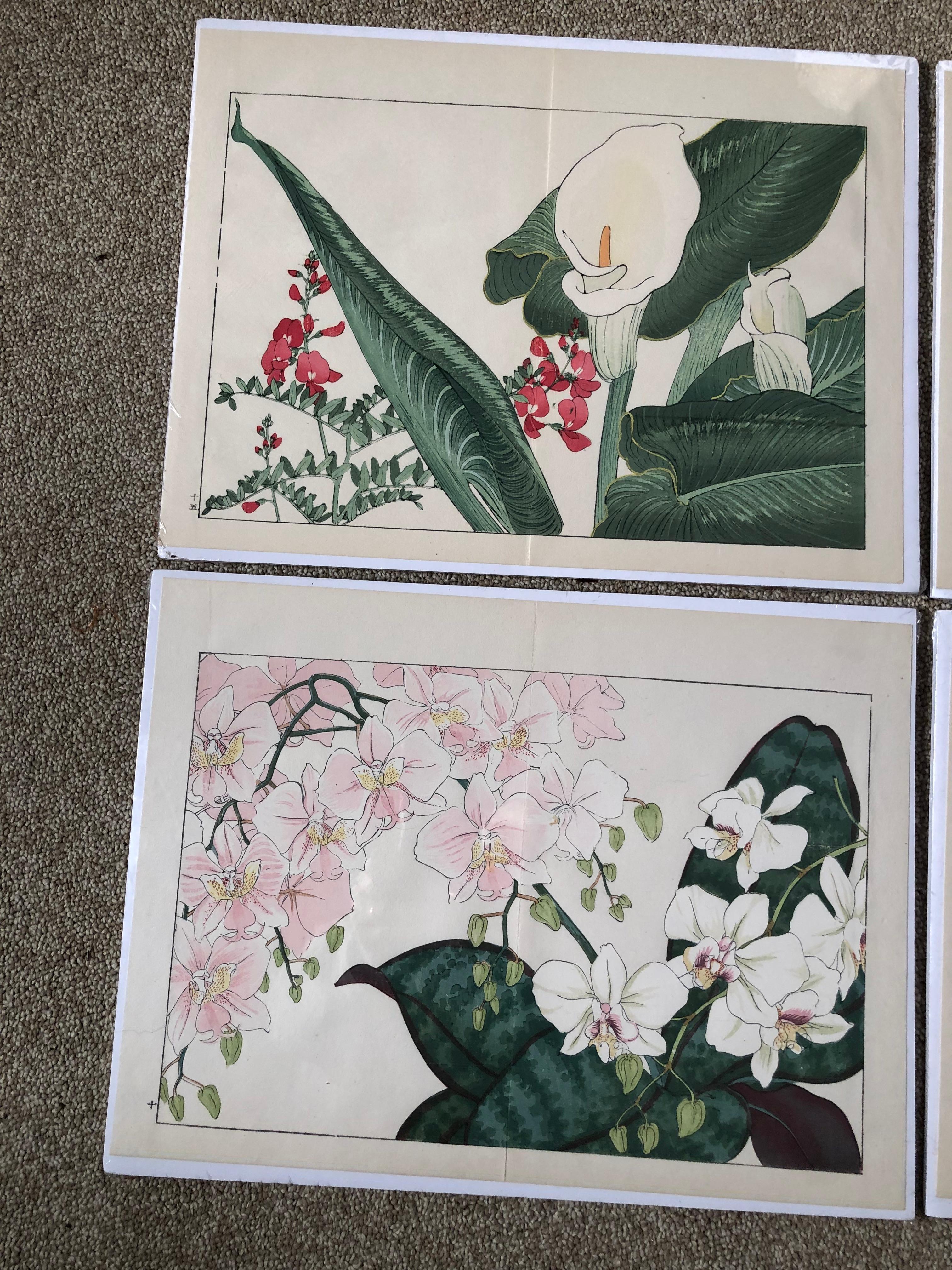 Japan woodblock flower prints, artwork created by Tanigami Konan (1879-1928) set of four (4) from an original book.

Original vibrant colors.

These exuberant 20th century botanical works were originally created to appeal to westerners and to