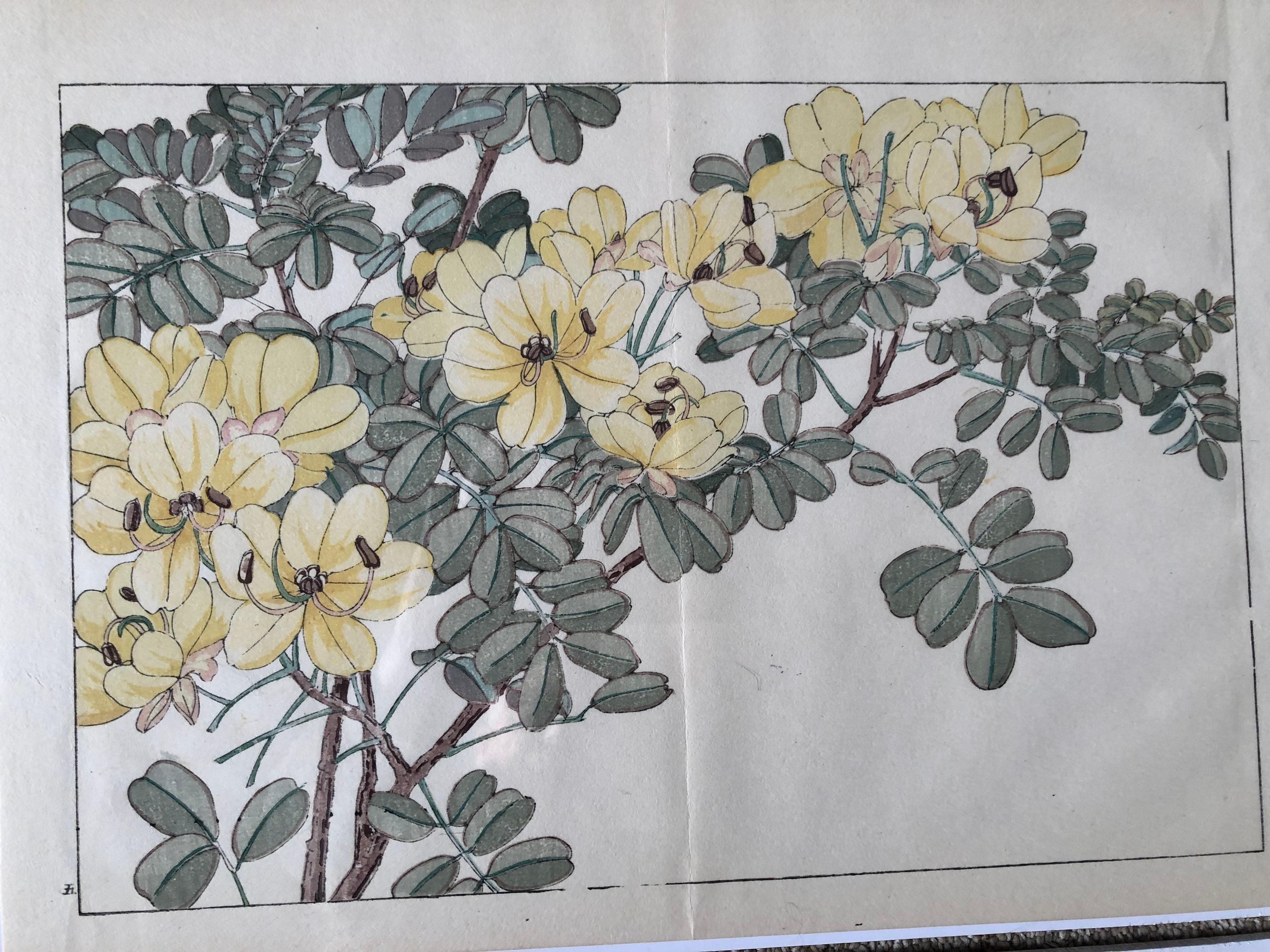 20th Century Japanese Four Fine Woodblock Flower Prints, Vibrant Colors, Frameable #1
