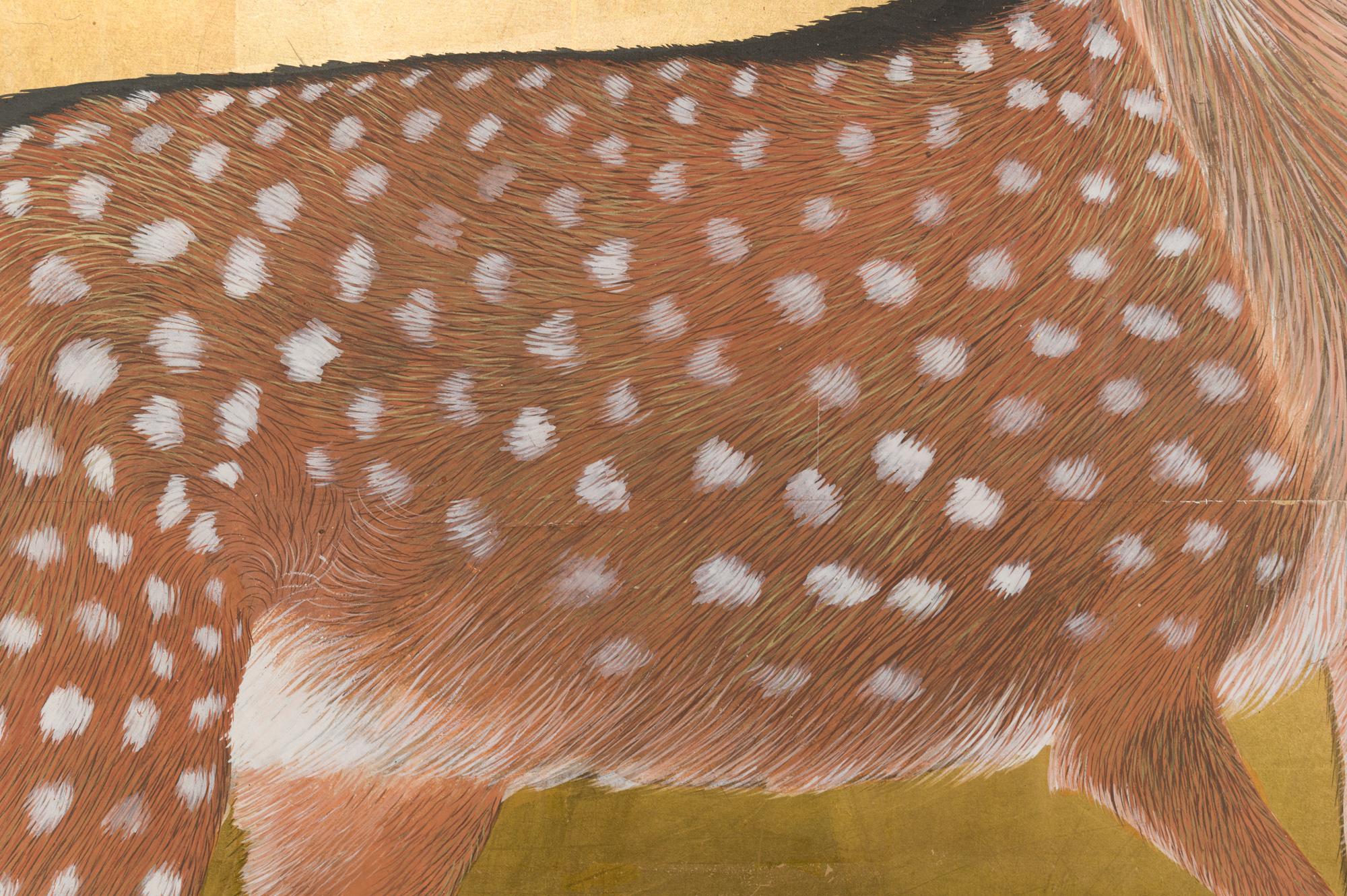 buck screen