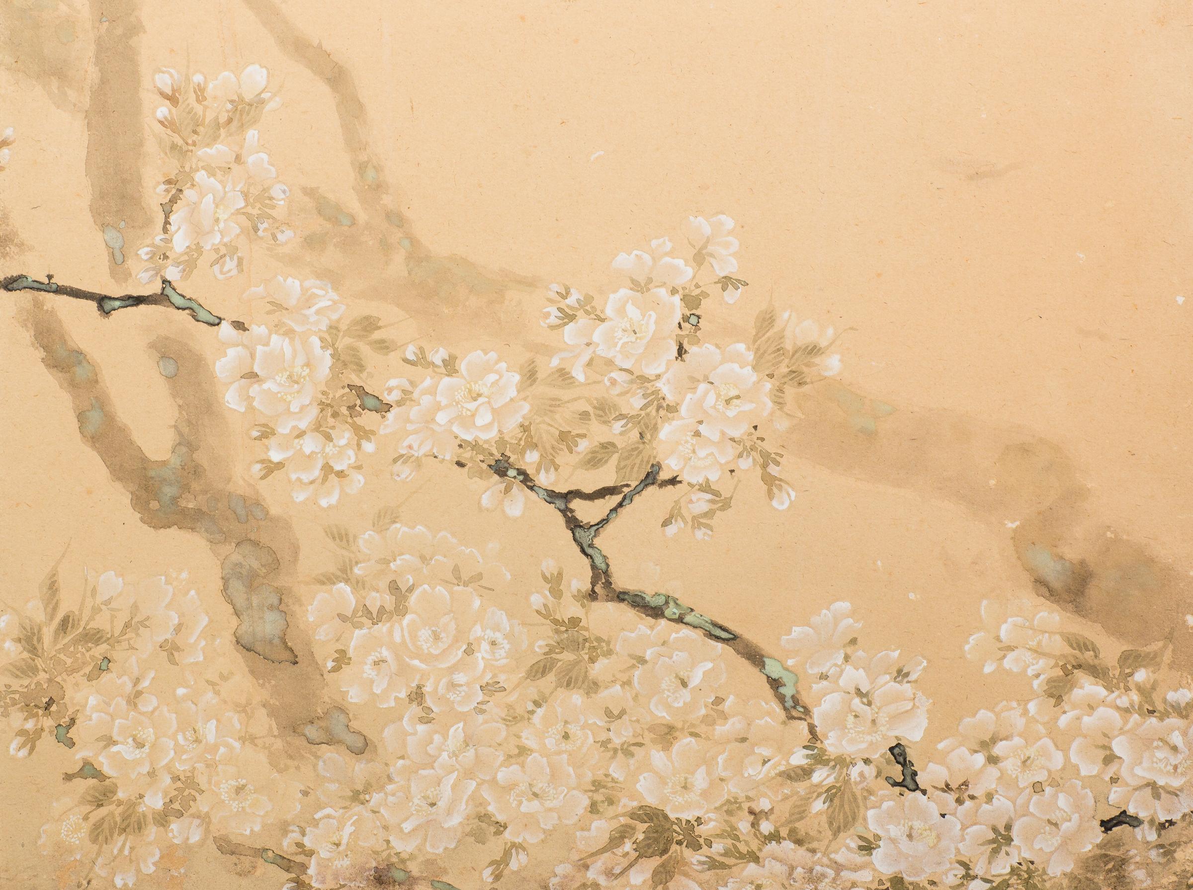 Taisho period (1912-1926) soft elegant painting of illuminated cherry blossom branches. Artist is Shoha Ito (1877-1968). She studied under Seiho Takeuchi (1864-1942), a famous Japanese painter. Mineral pigments on mulberry paper with signature and
