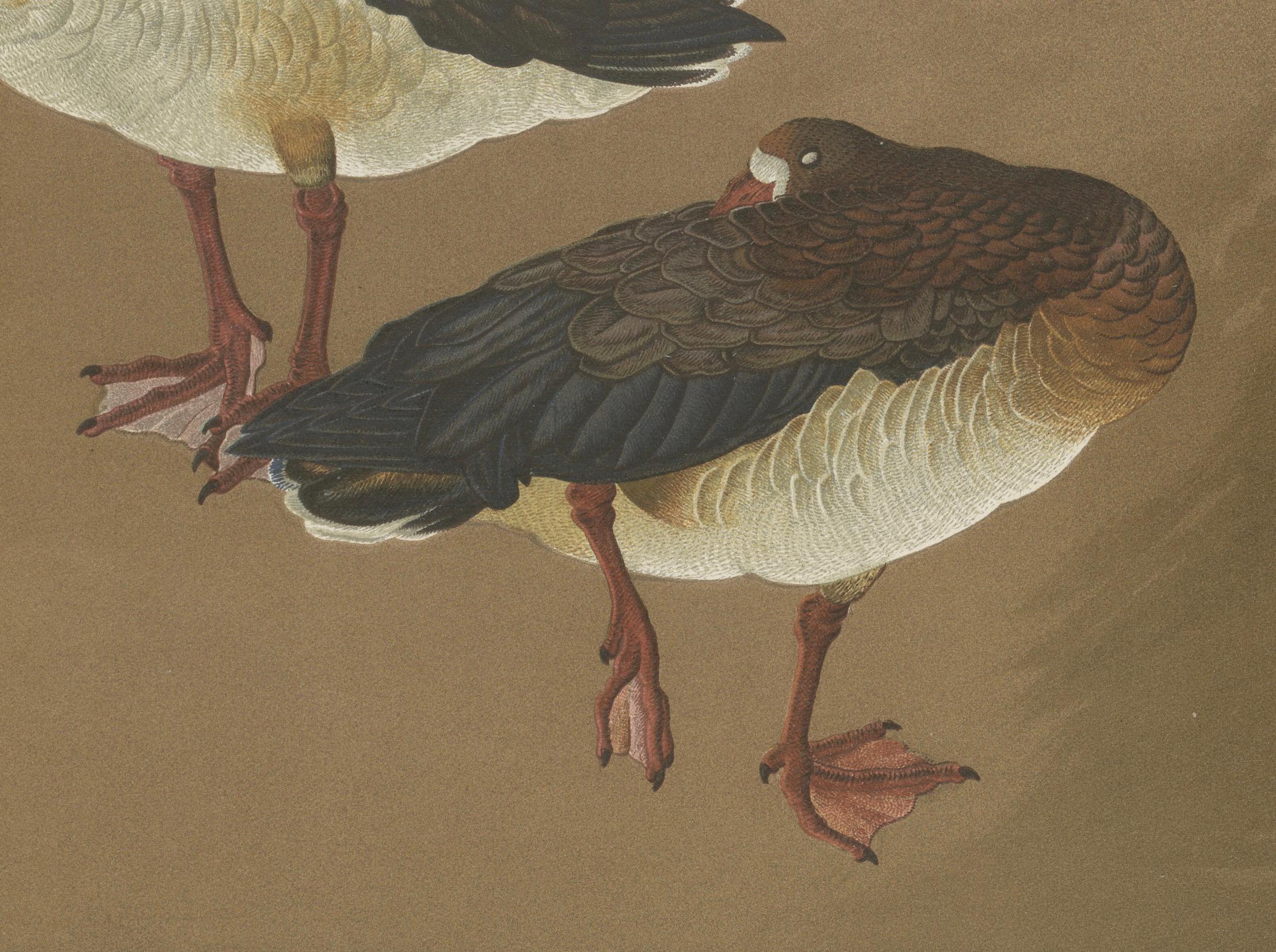 Papier Oies japonaises dans une calme Elegance : Lithographie ancienne, années 1880 en vente