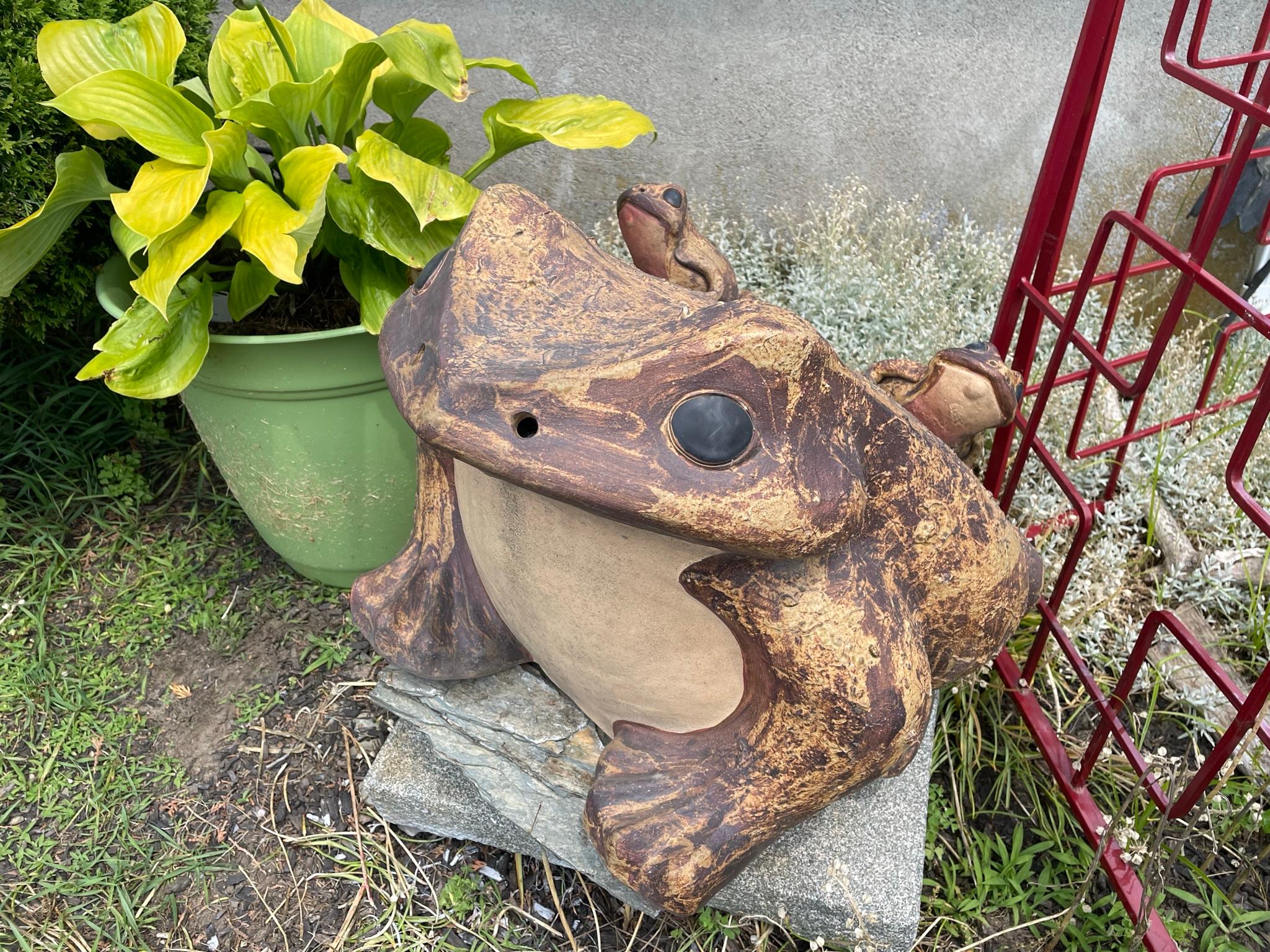 large terracotta frog planter