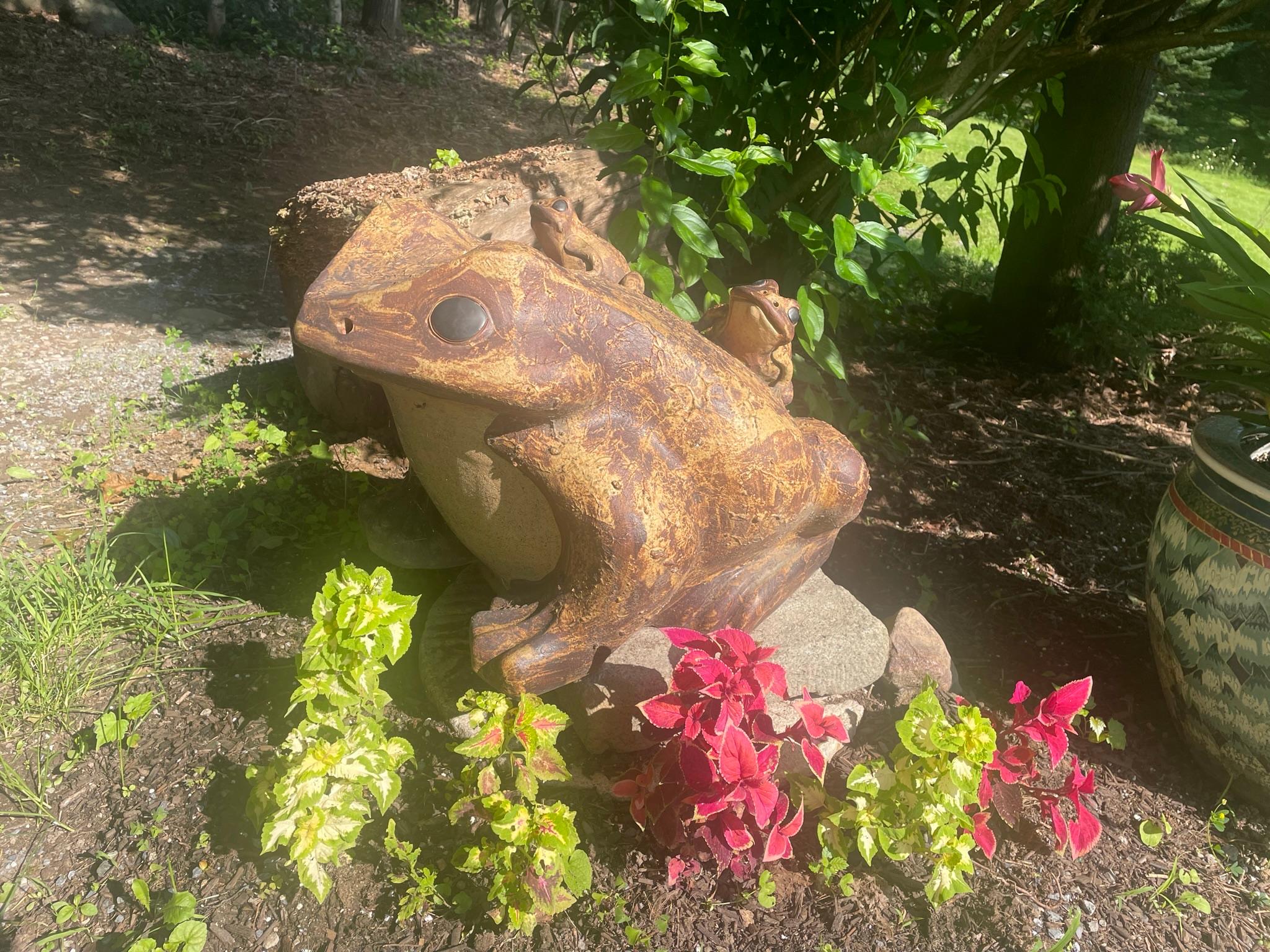 large frog planter