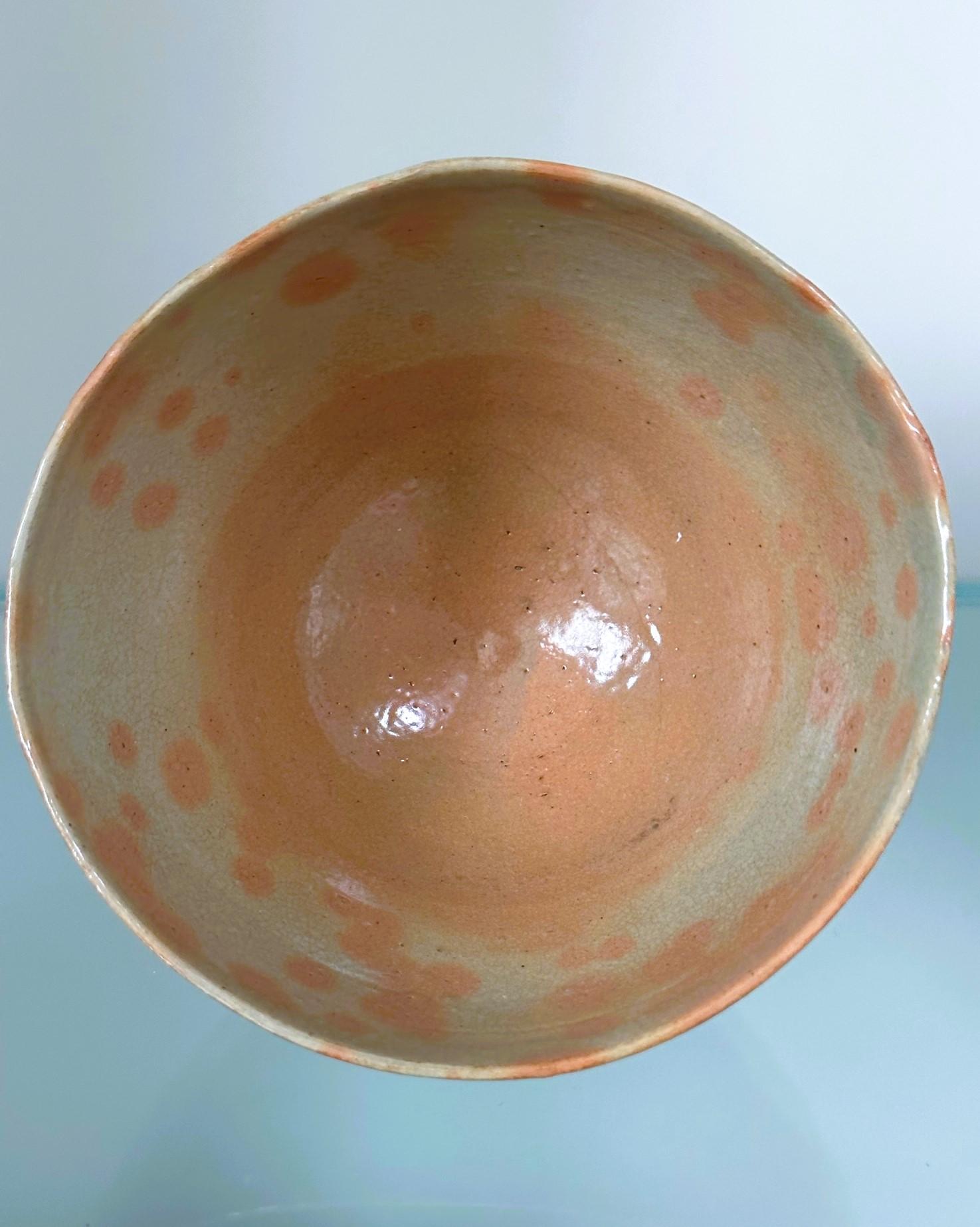 Japanese Glazed Ceramic Gohon Chawan Tea Bowl For Sale 1