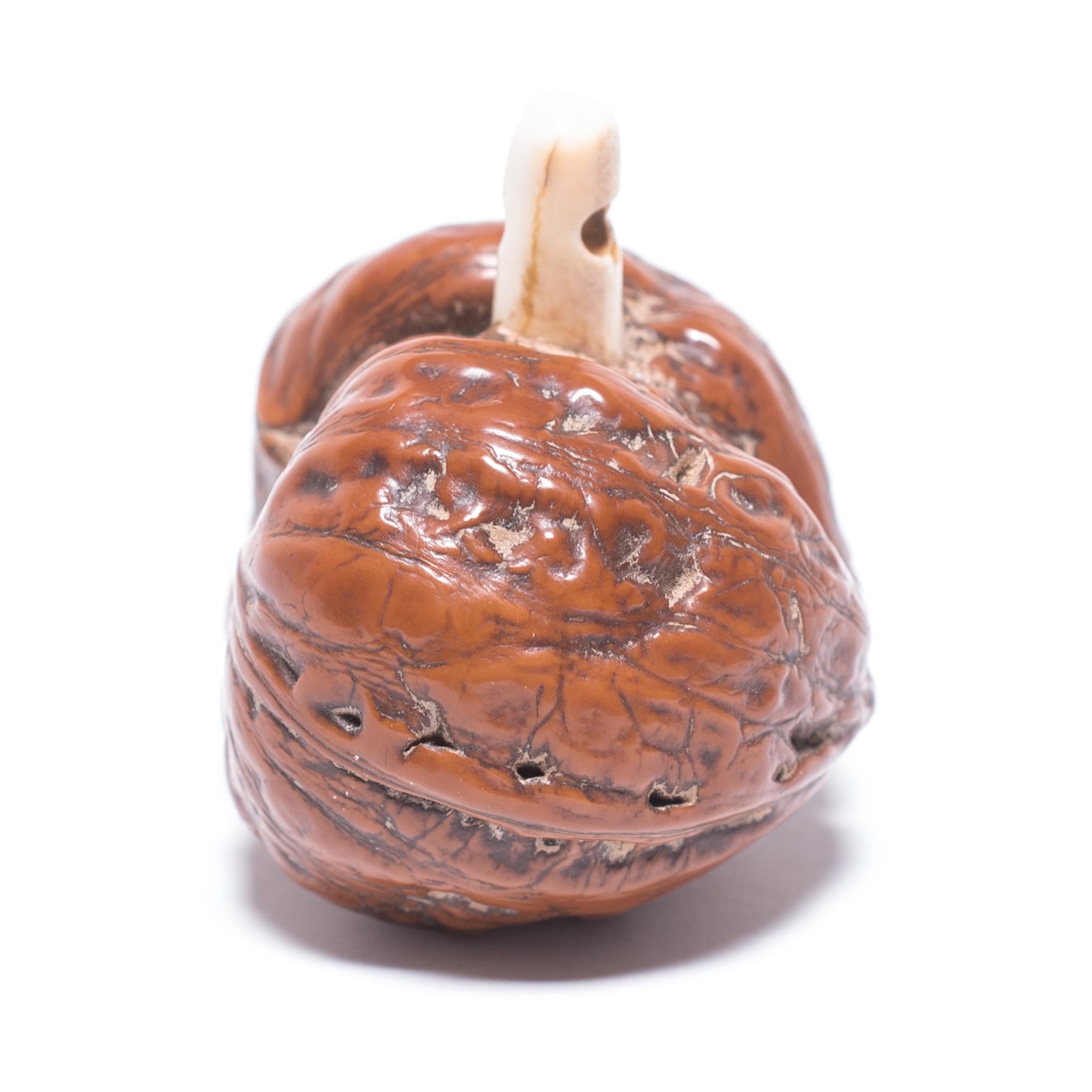 Japanese artisans have long held mastery in the creation of miniature treasures, or netsuke. This gourd netsuke is ingeniously carved out of a walnut shelf with a polished bone spur acting as the stem at the gourd's top. A symbol of divinity, good