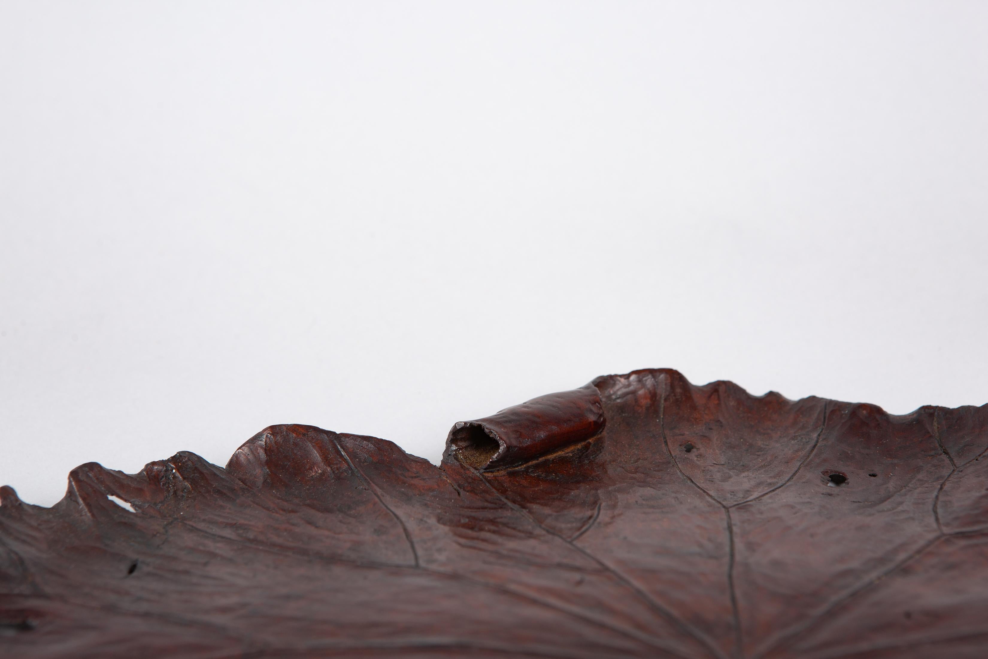 19th Century Japanese Hand Carved Lotus Leaf Tray