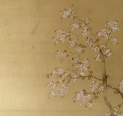 Japanische Schriftrolle zum Aufhängen - Samurai unter blühendem Baum