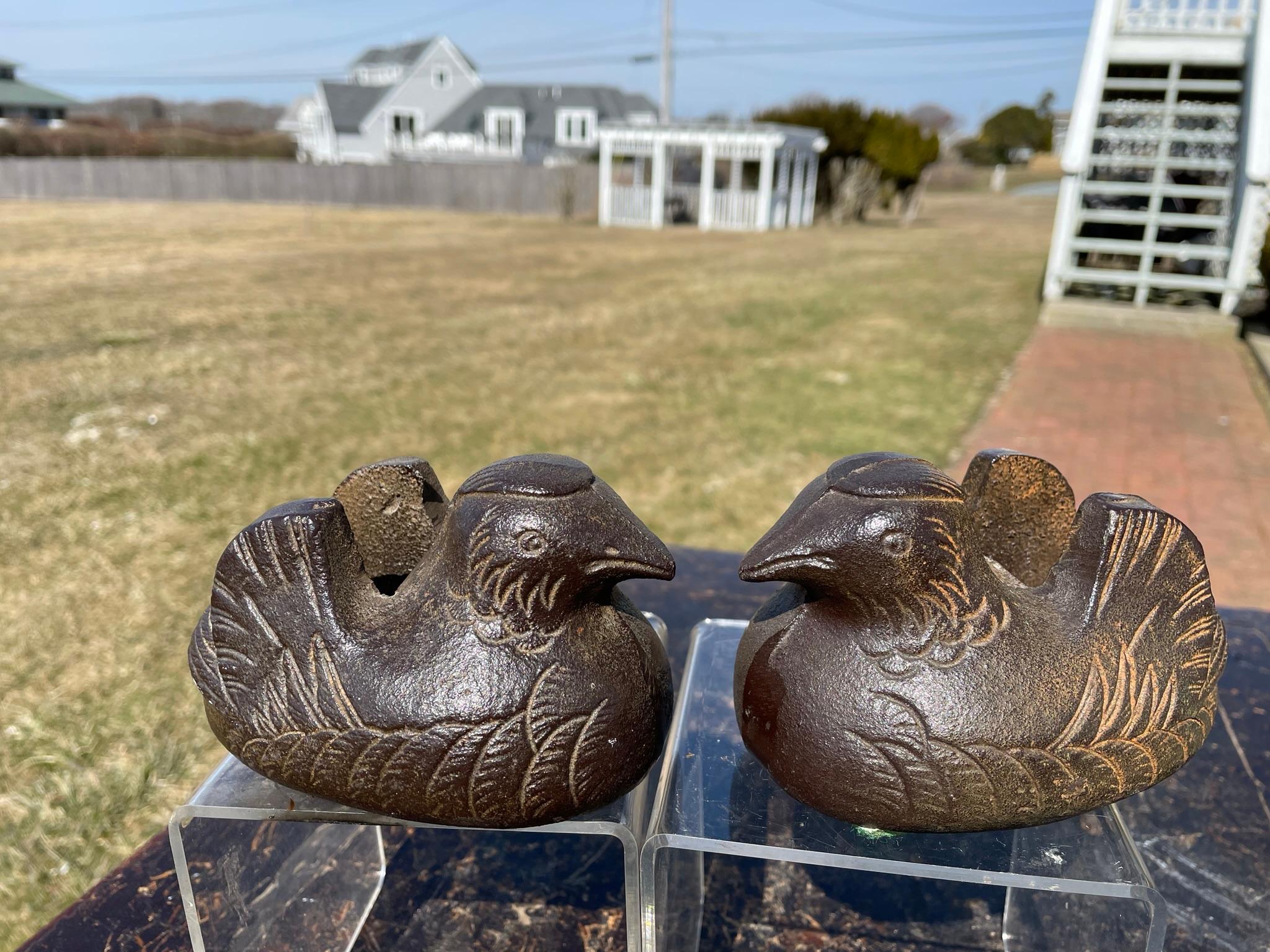 japanese hard duck